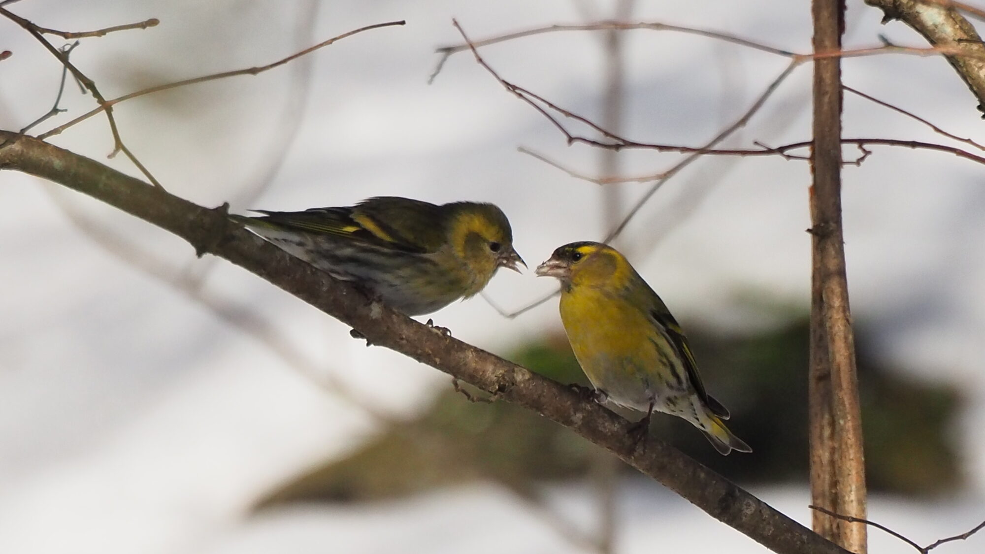 Valokuvaaja: Martti Valtonen