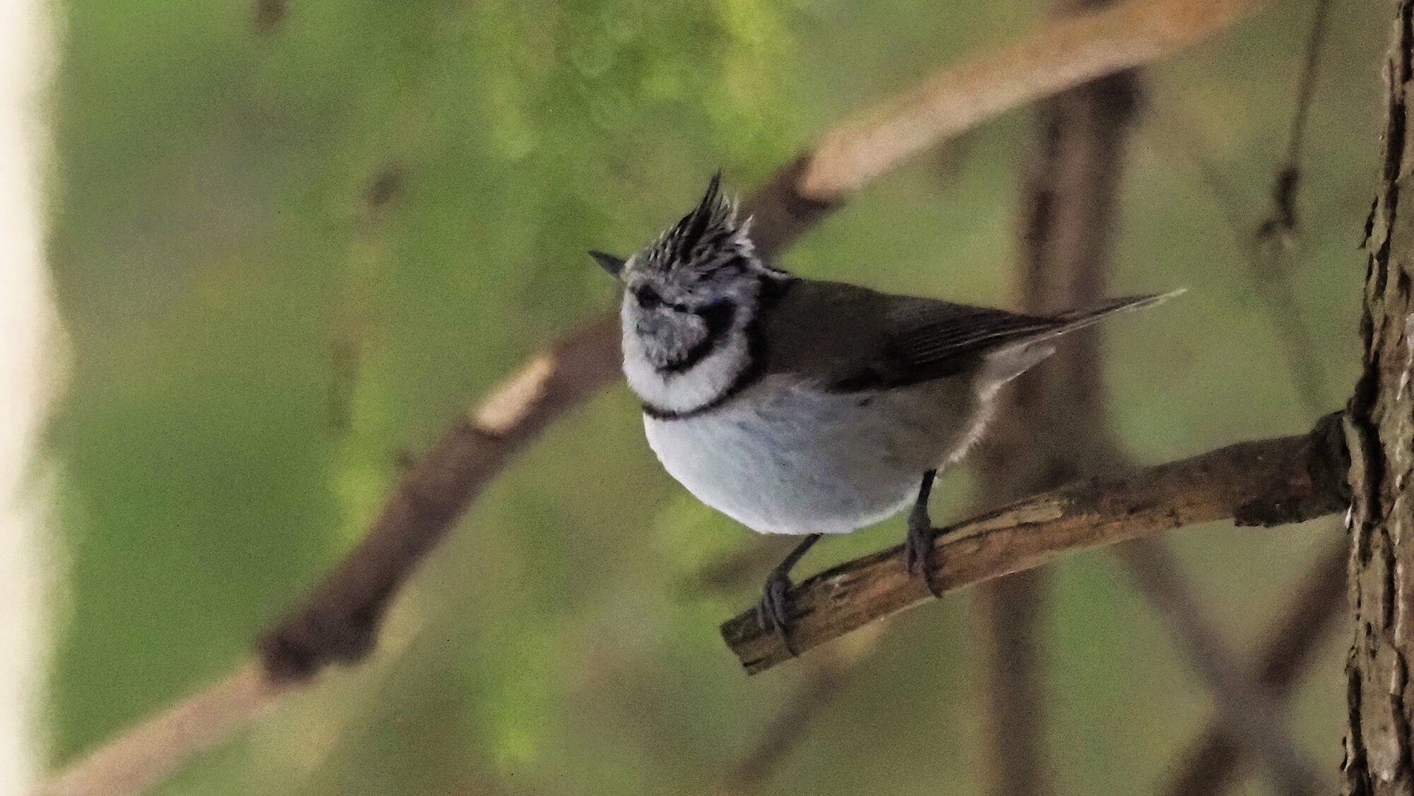 Valokuvaaja: Arja Valtonen