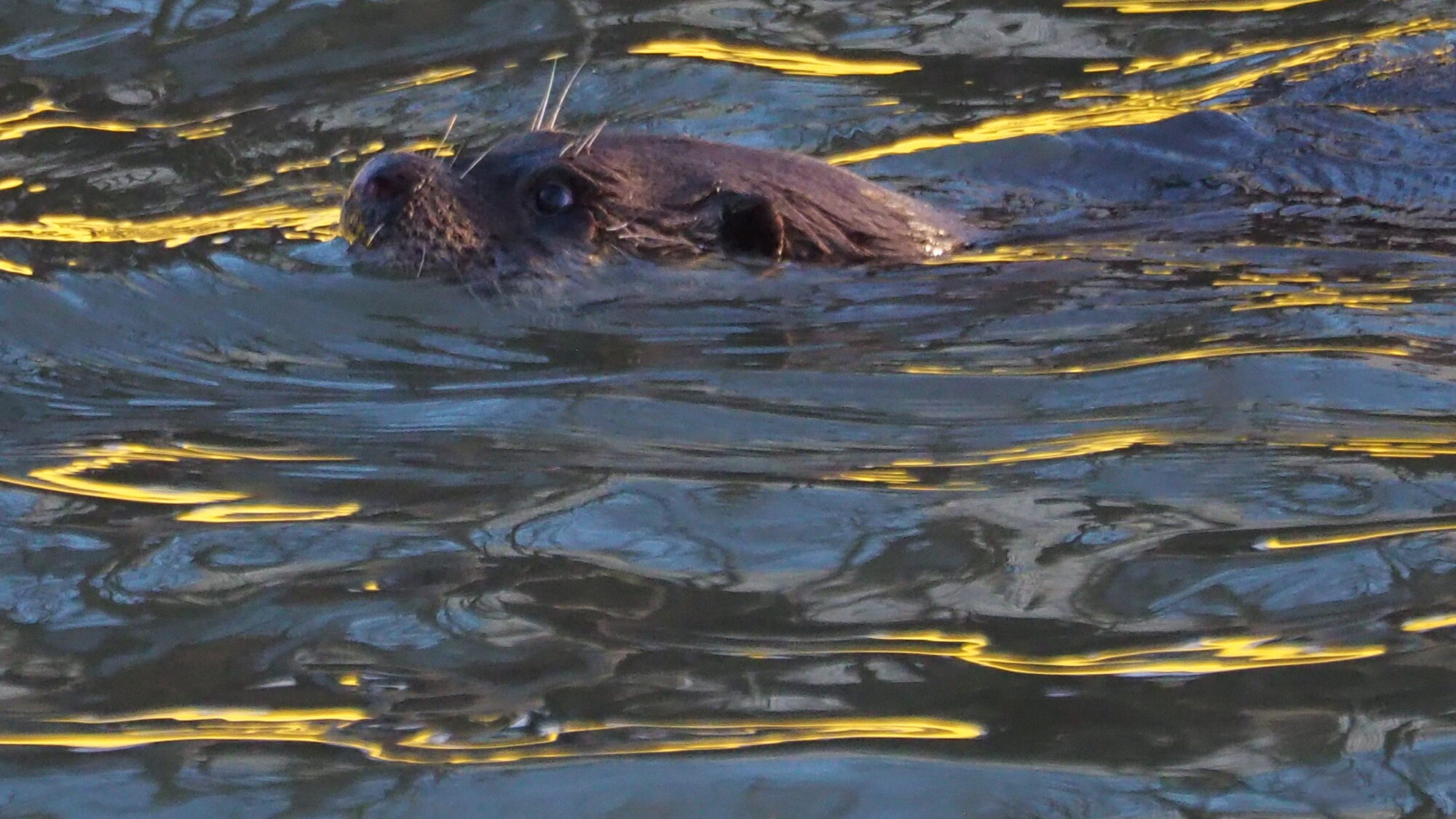 Valokuvaaja: Martti Valtonen