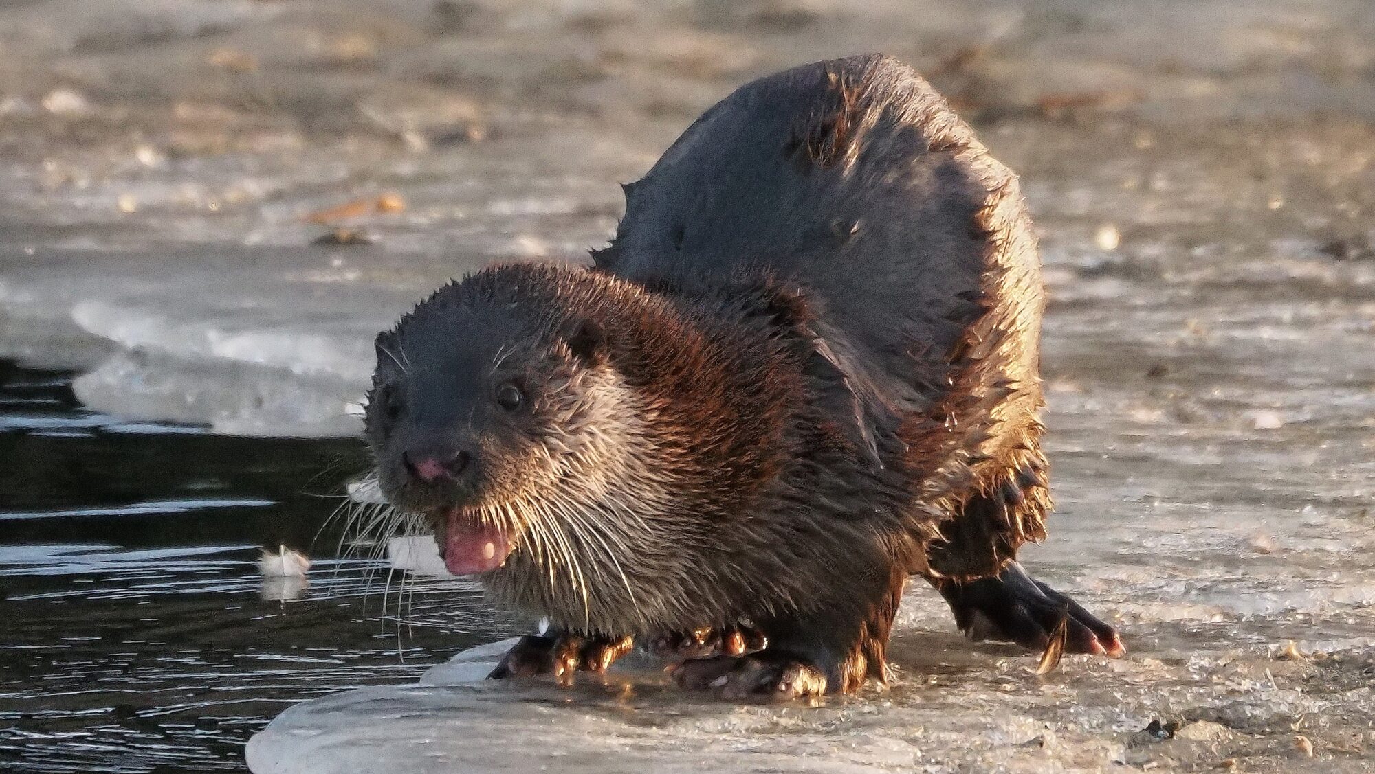 Valokuvaaja: Arja Valtonen
