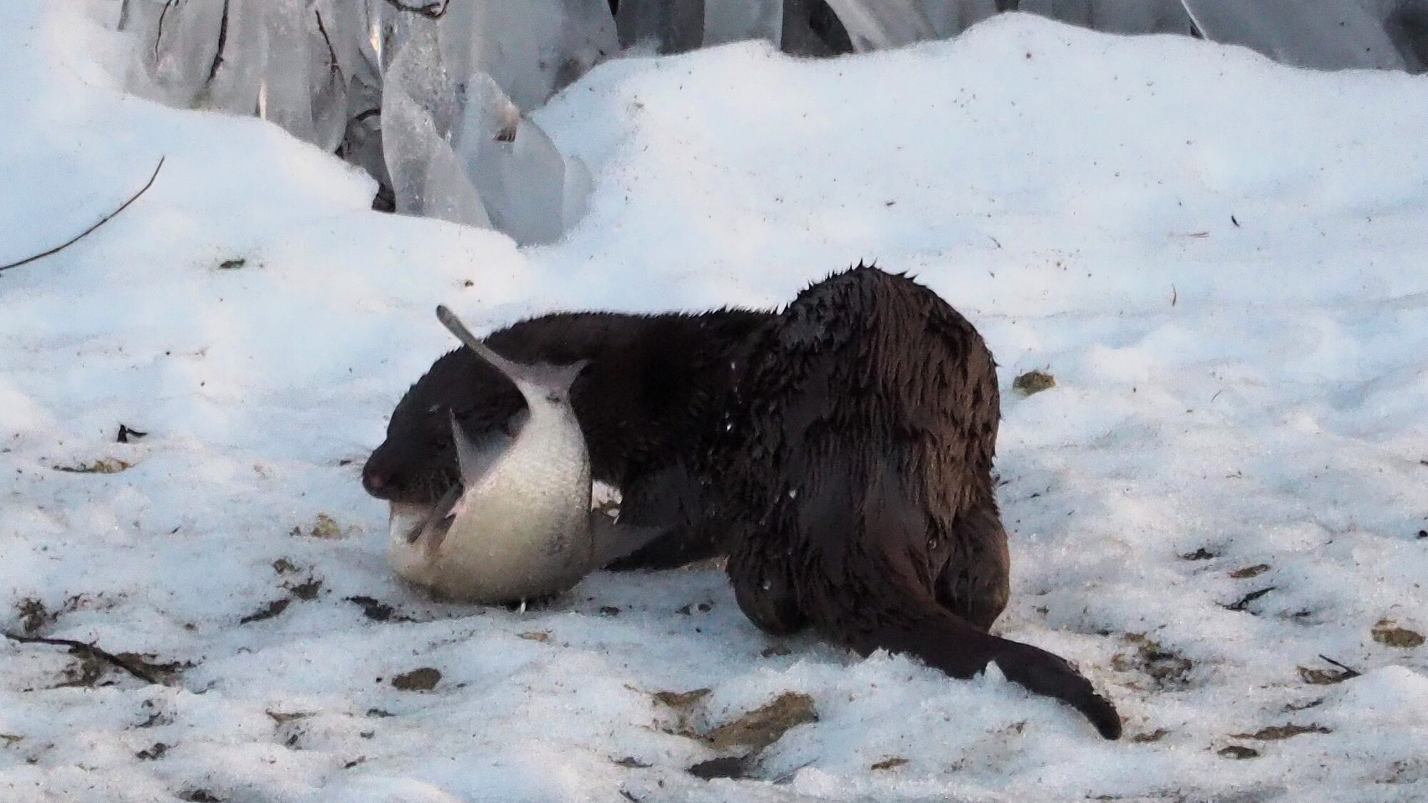 Valokuvaaja: Martti Valtonen