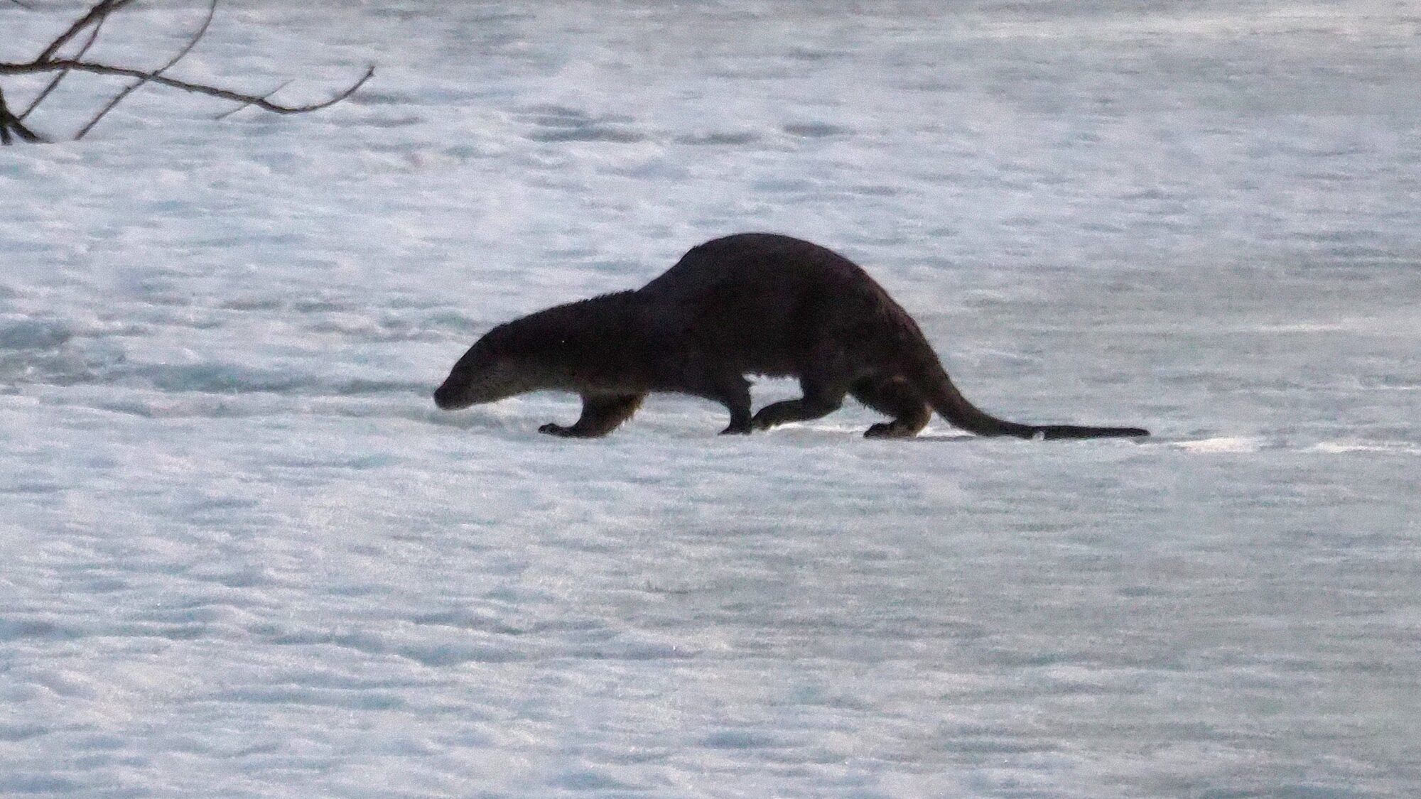 Valokuvaaja: Martti Valtonen