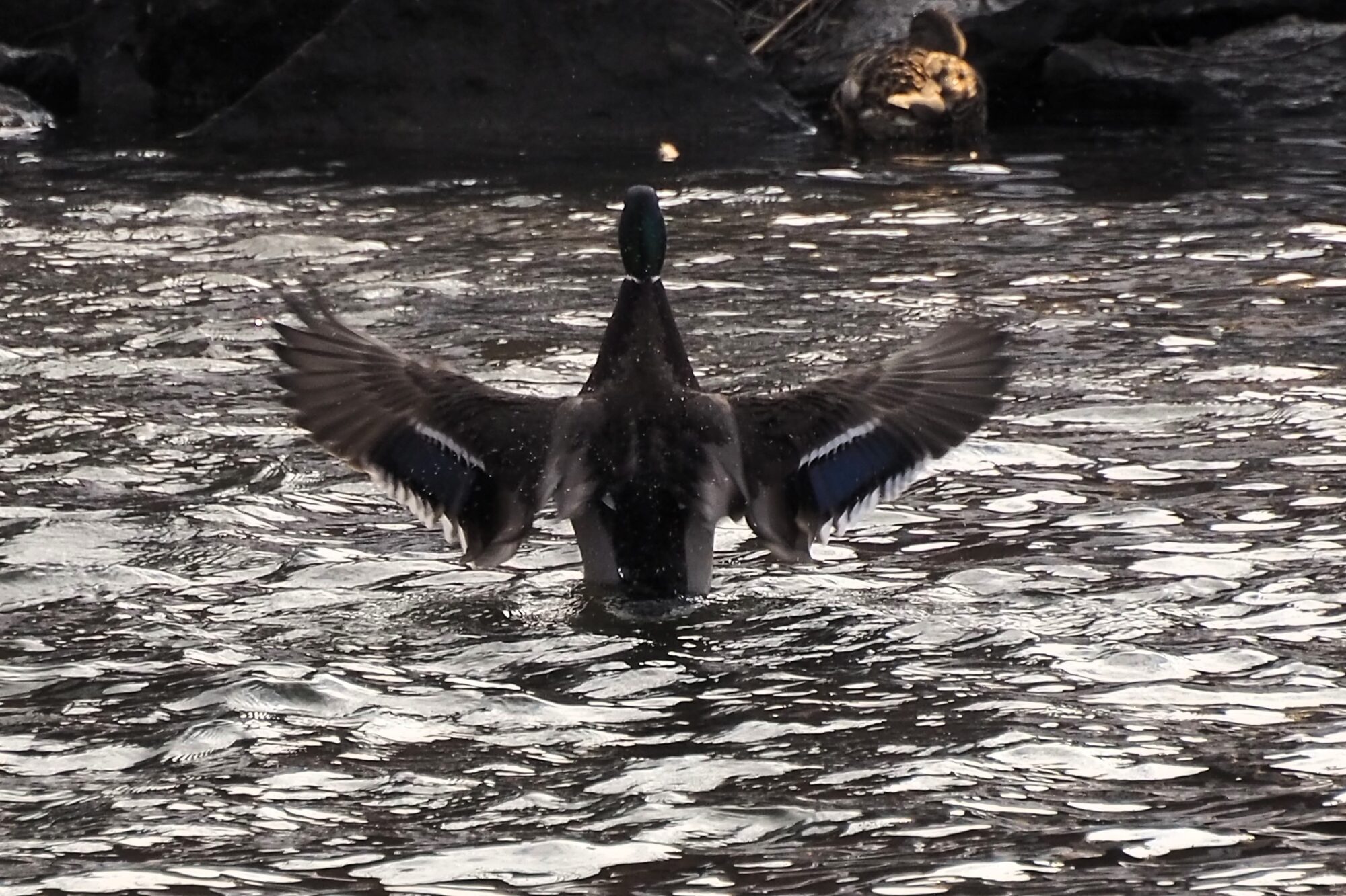 Valokuvaaja: Martti Valtonen