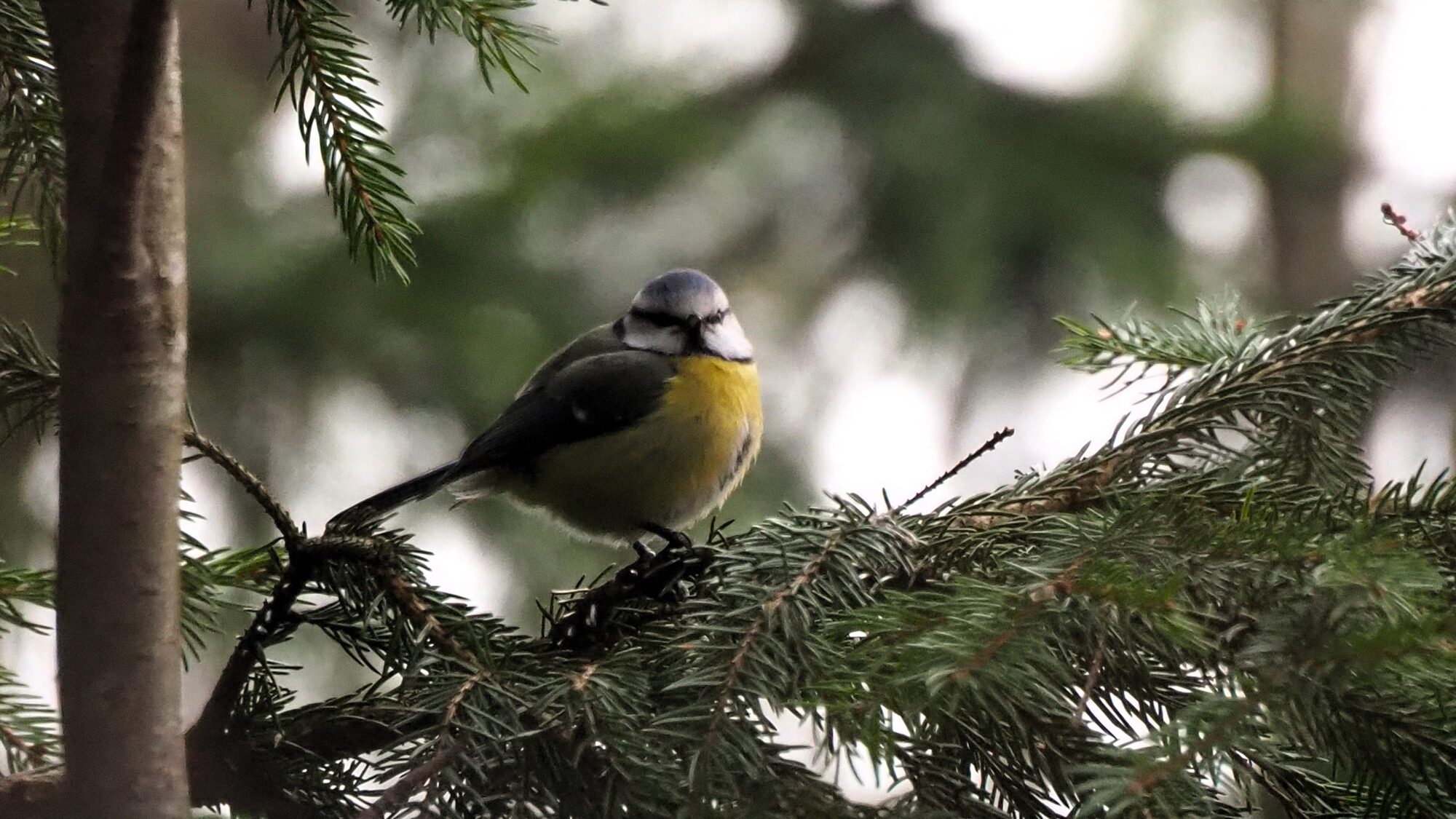 Valokuvaaja: Martti Valtonen