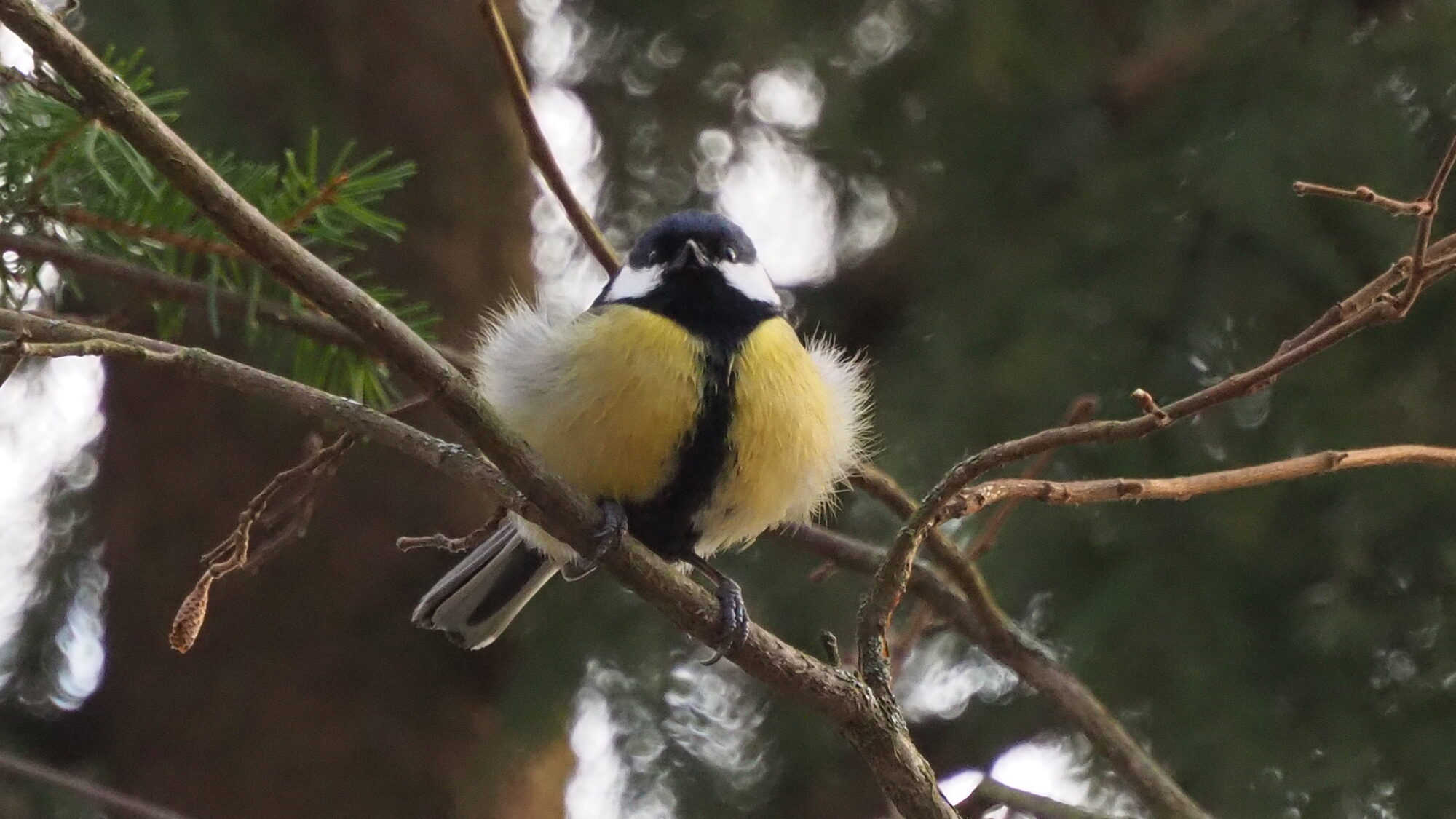 Valokuvaaja: Martti Valtonen