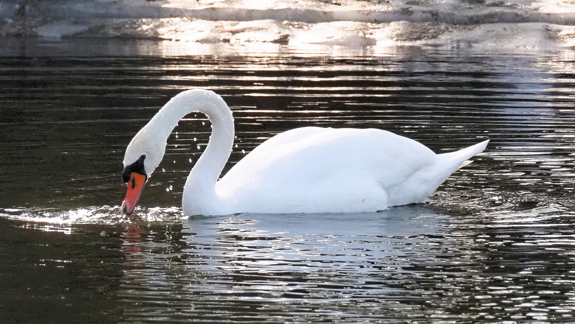 Valokuvaaja: Arja Valtonen