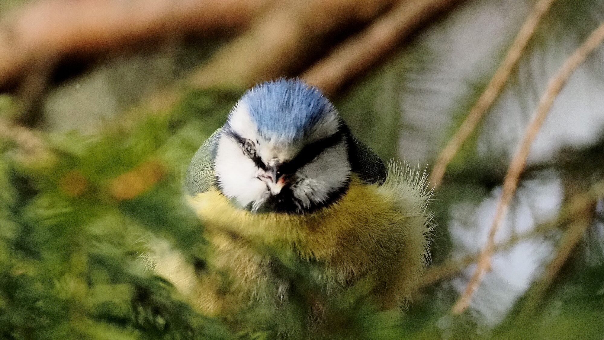 Valokuvaaja: Arja Valtonen