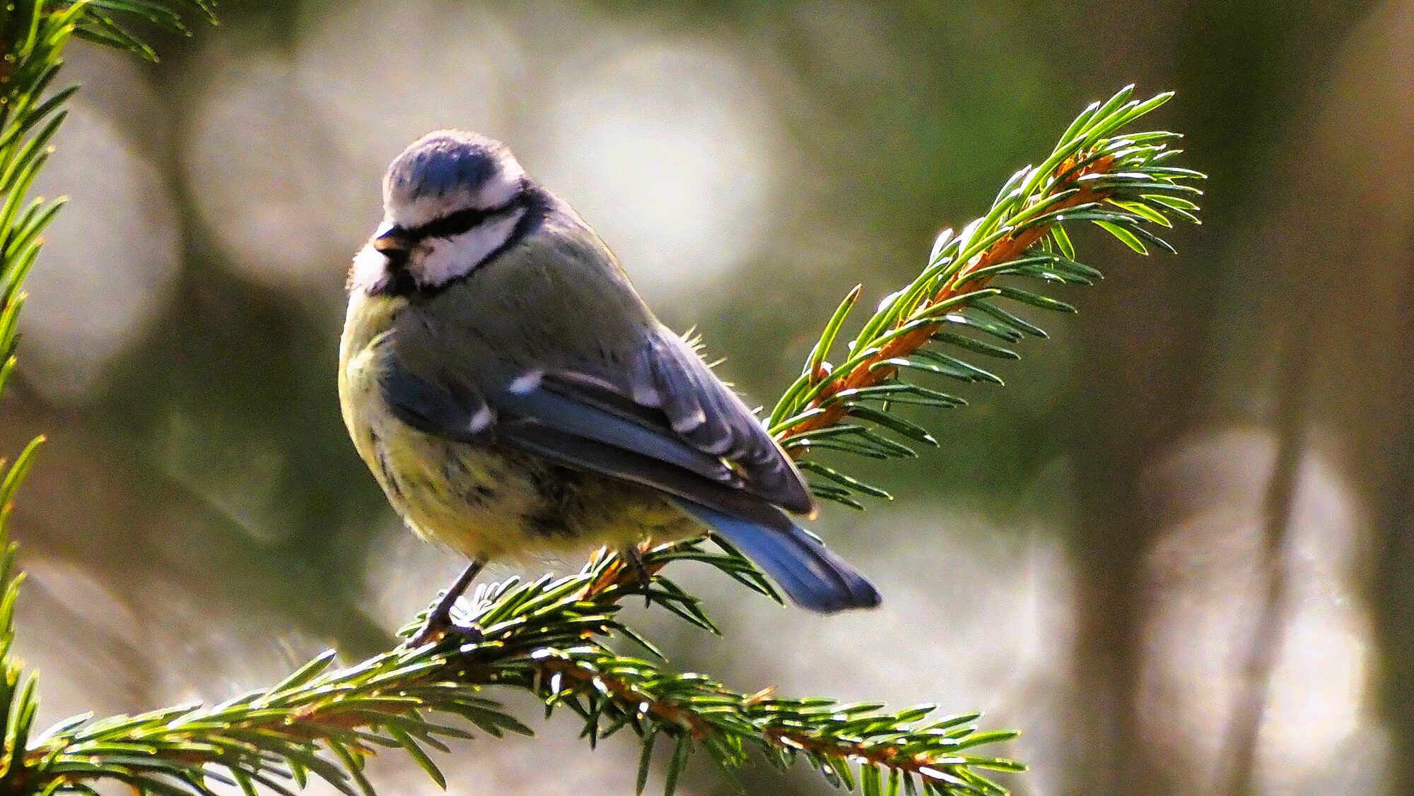 Valokuvaaja: Arja Valtonen