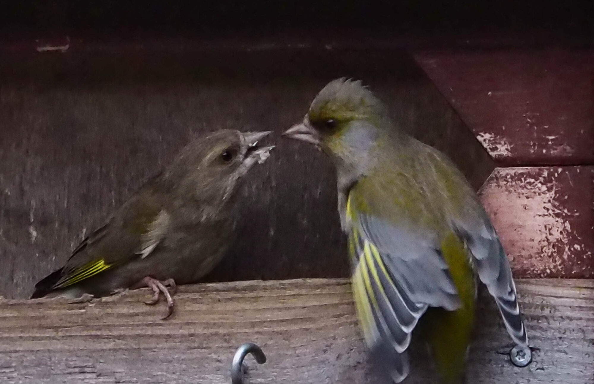 Valokuvaaja: Aki Jalava