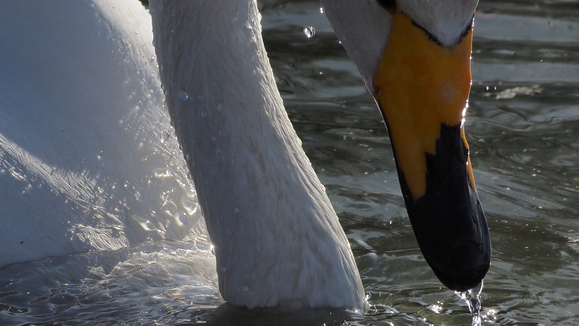 Valokuvaaja: Arja Valtonen