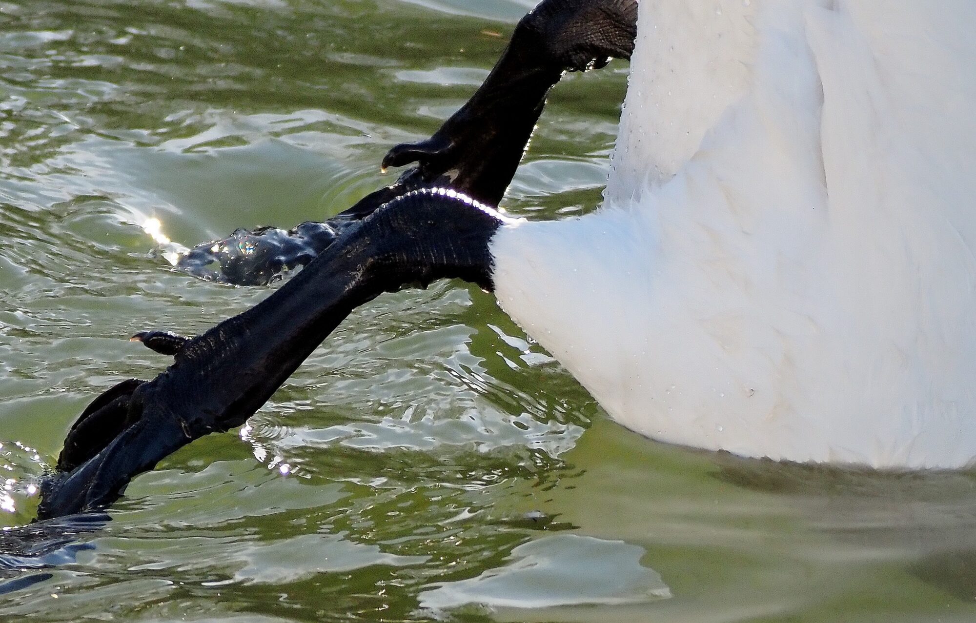 Valokuvaaja: Arja Valtonen