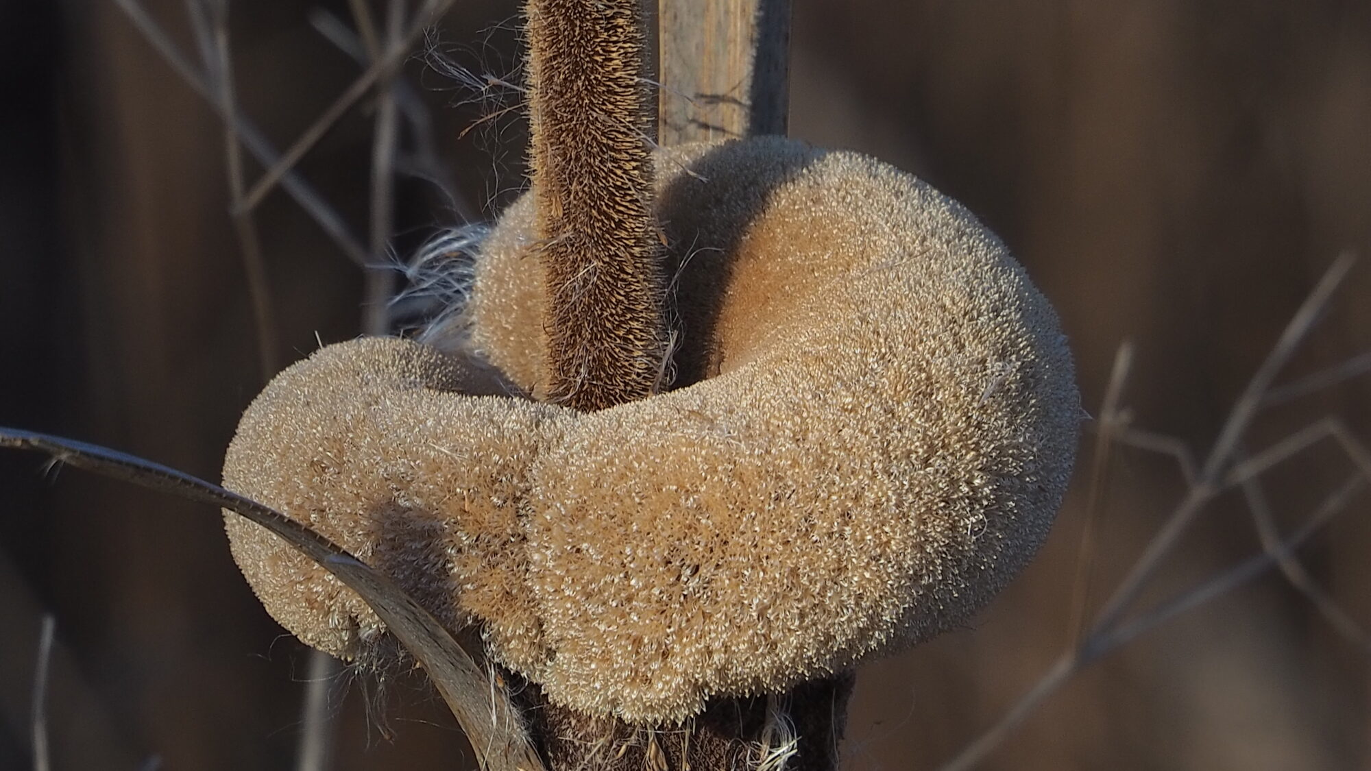 Valokuvaaja: Martti Valtonen