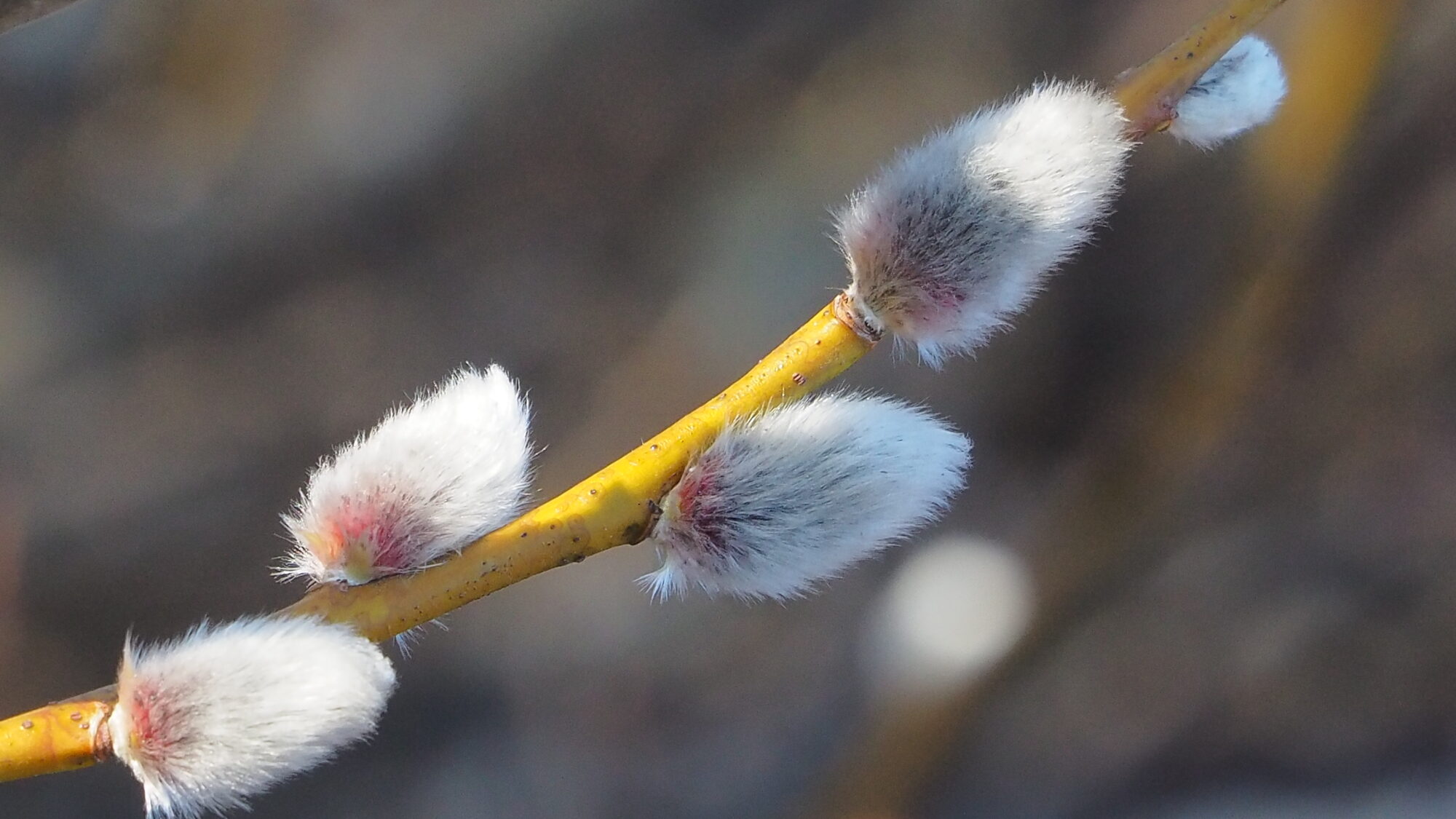 Valokuvaaja: Martti Valtonen