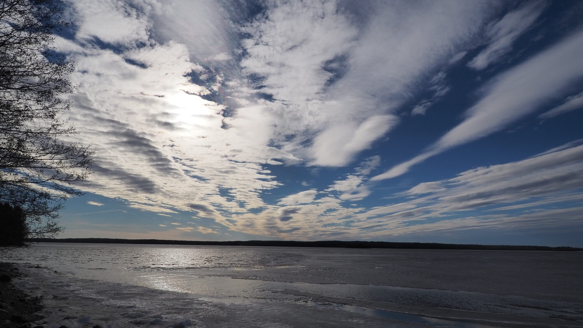 Valokuvaaja: Martti Valtonen