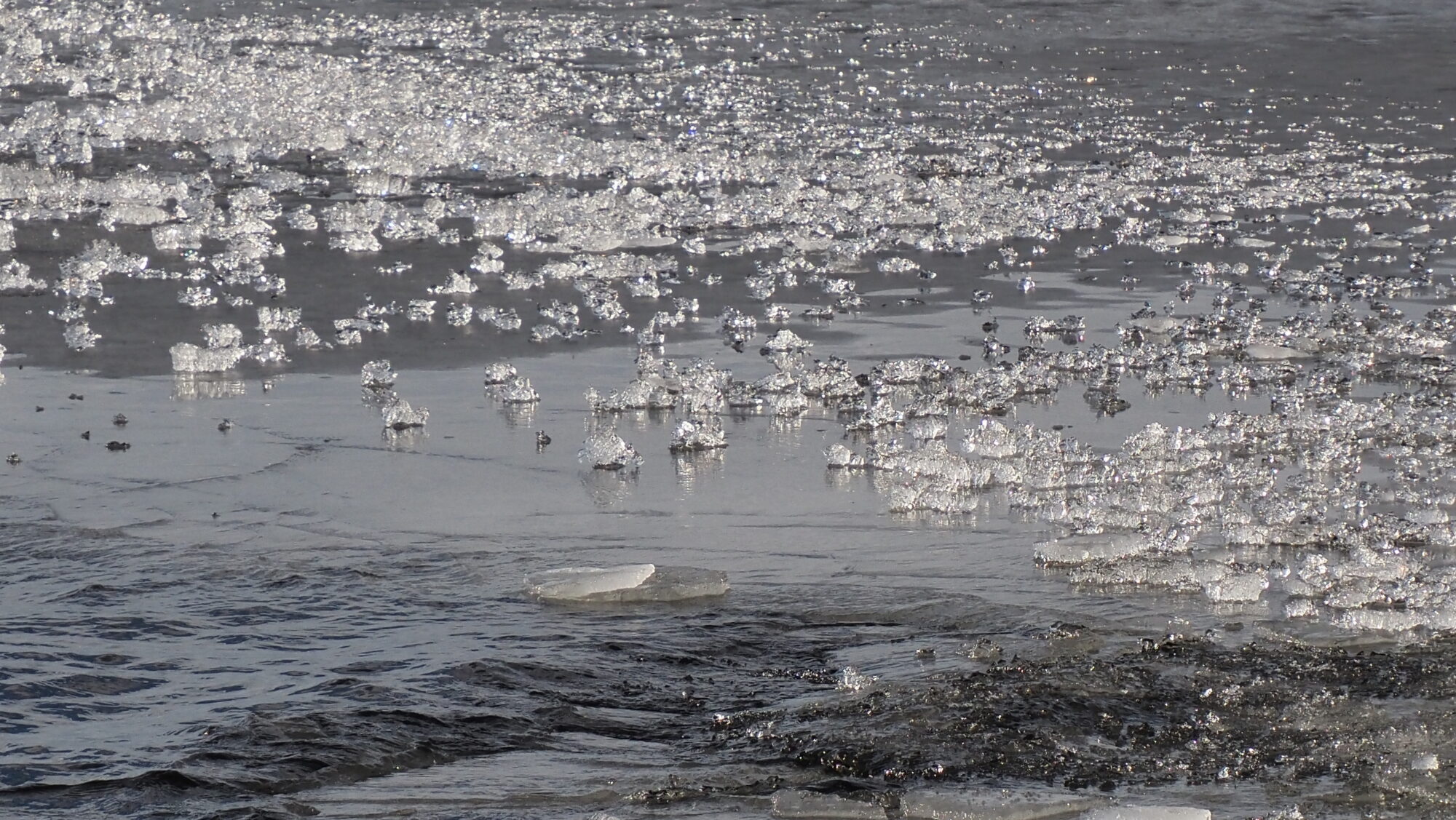 Valokuvaaja: Arja Valtonen