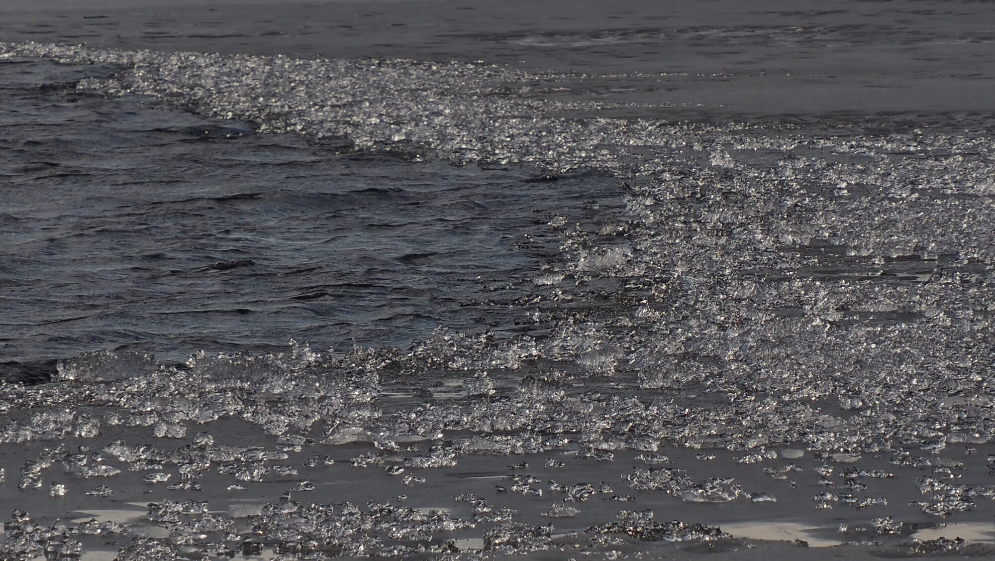 Valokuvaaja: Arja Valtonen