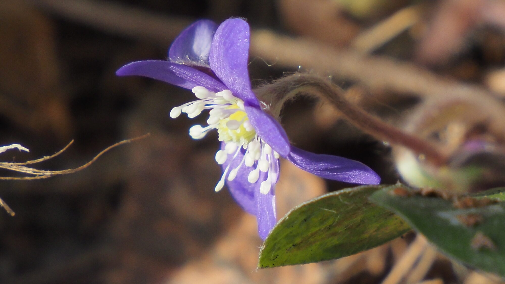 Valokuvaaja: Arja Valtonen