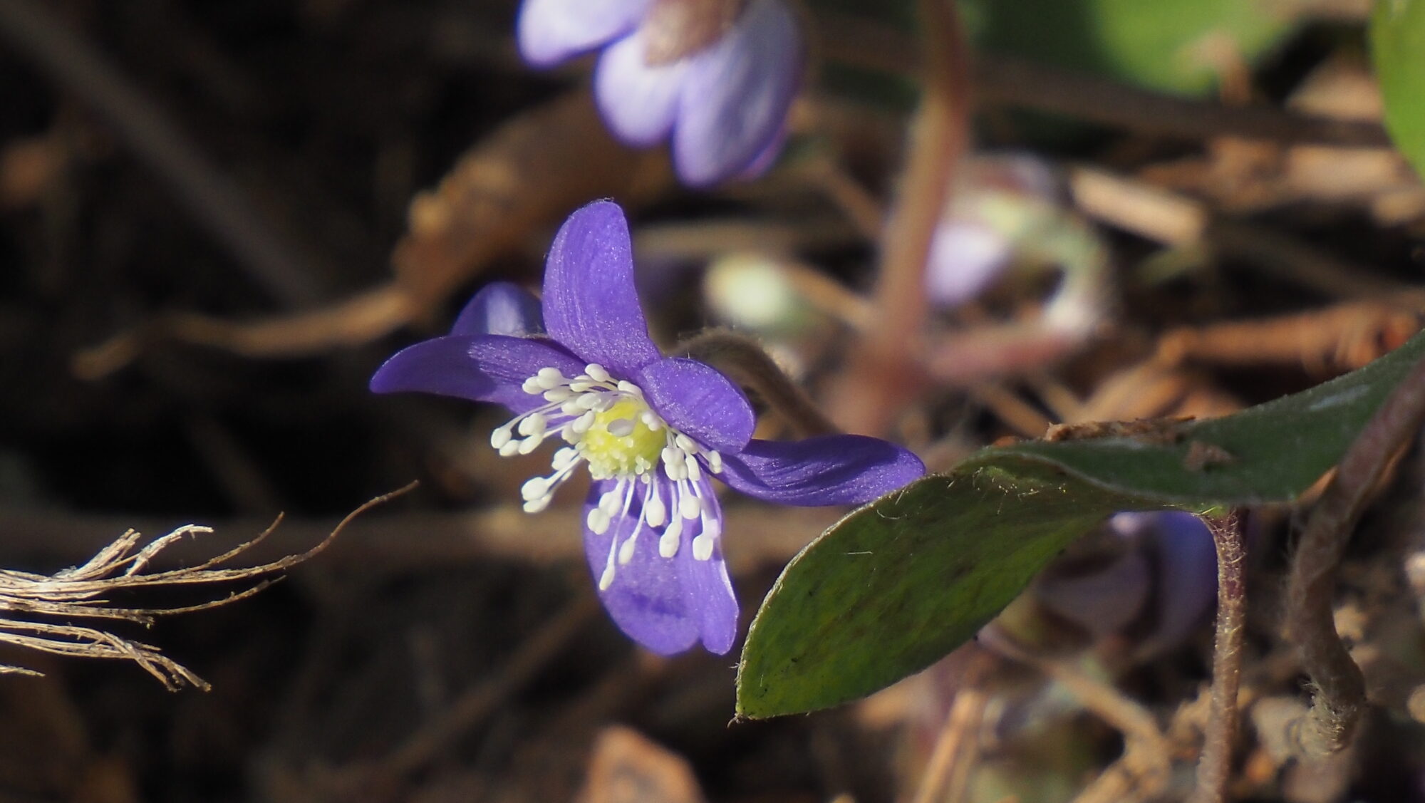 Valokuvaaja: Arja Valtonen