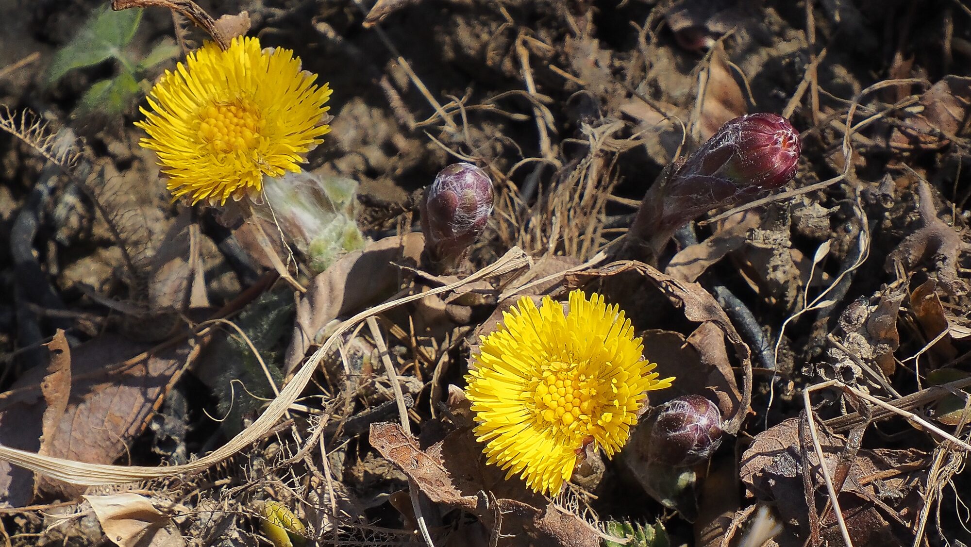 Valokuvaaja: Arja Valtonen