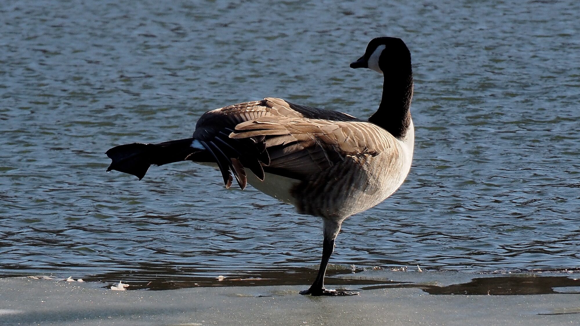 Valokuvaaja: Arja Valtonen