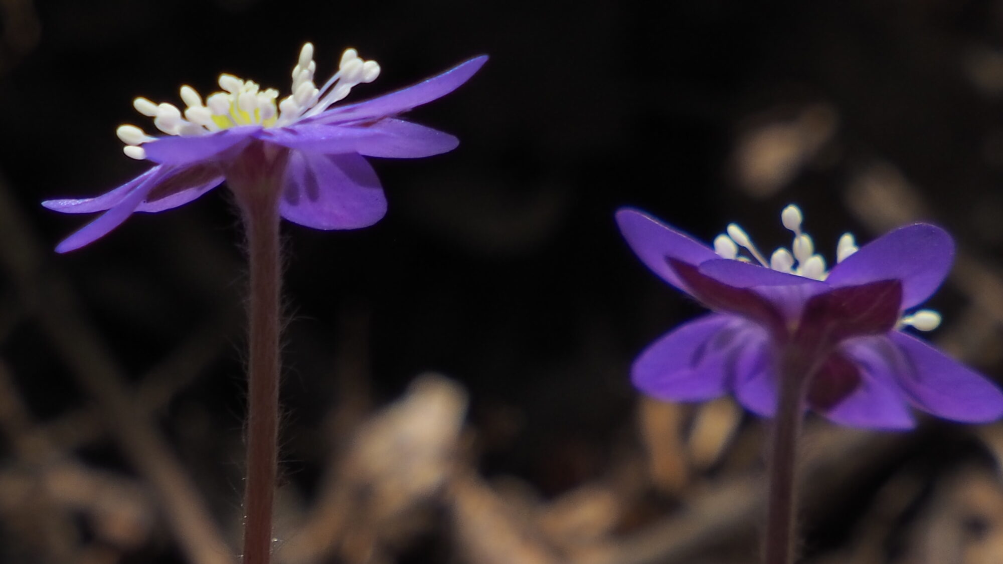 Valokuvaaja: Martti Valtonen