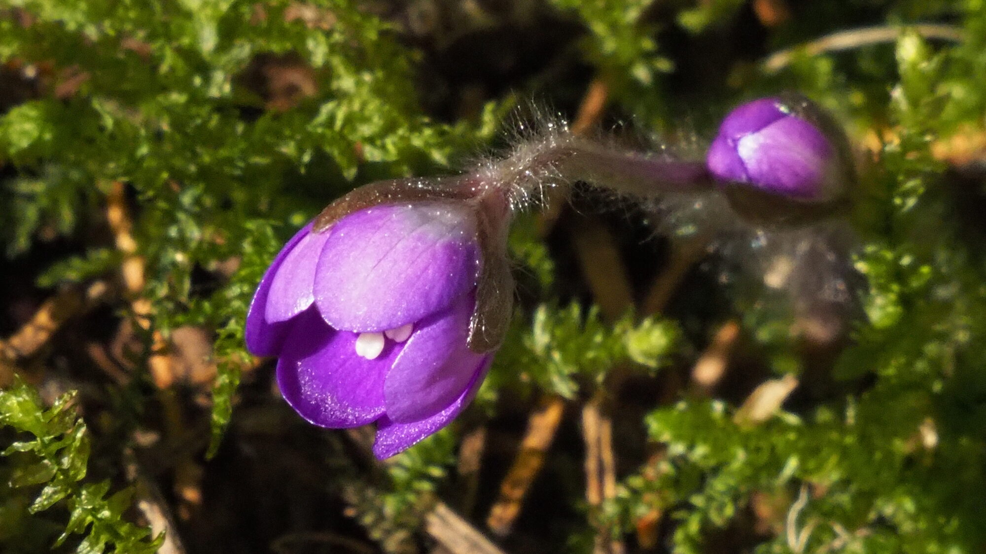 Valokuvaaja: Martti Valtonen