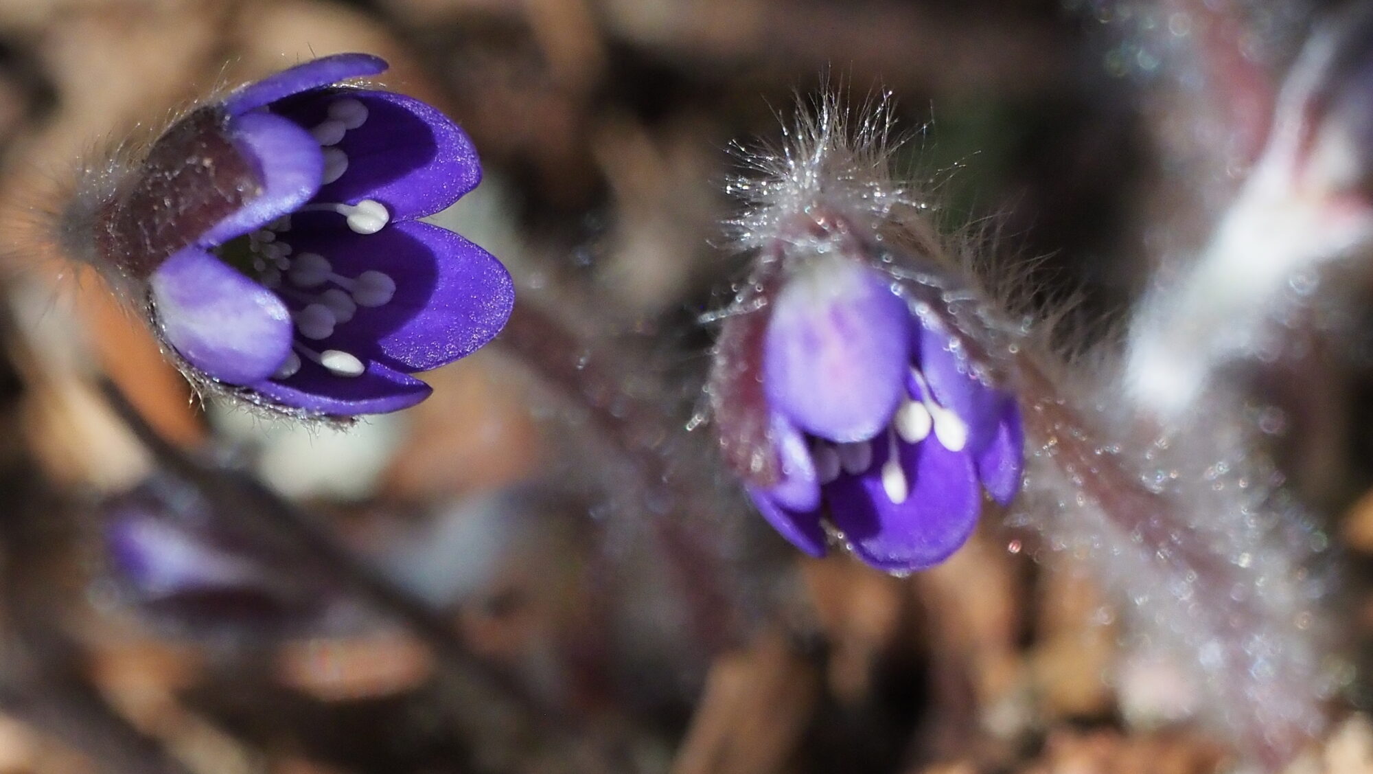 Valokuvaaja: Arja Valtonen