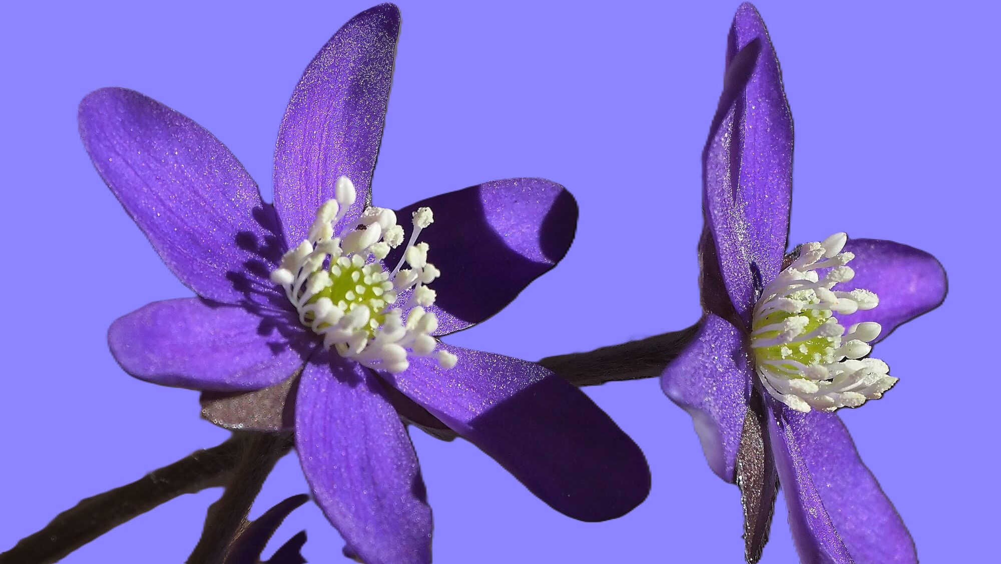 Valokuvaaja: Arja Valtonen