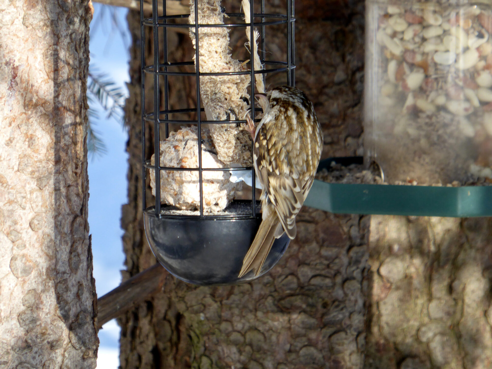 Valokuvaaja: Toni Asikainen