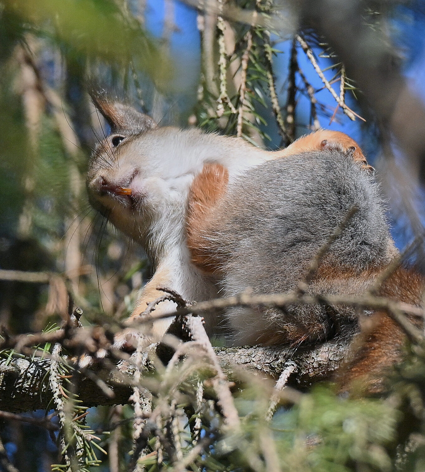 Valokuvaaja: Päivi Kiiskinen-Mustonen