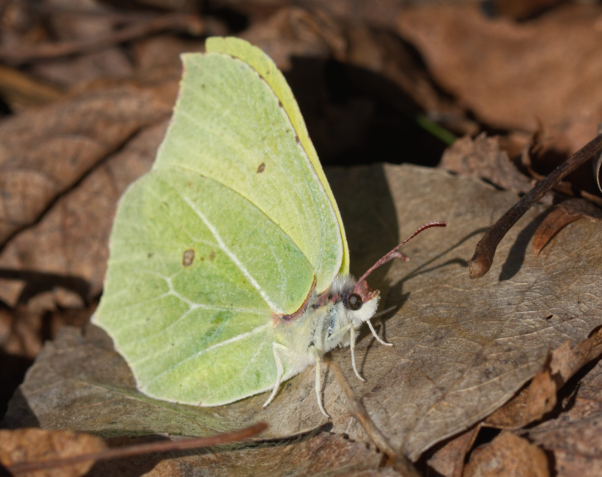 Valokuvaaja: Päivi Kiiskinen-Mustonen