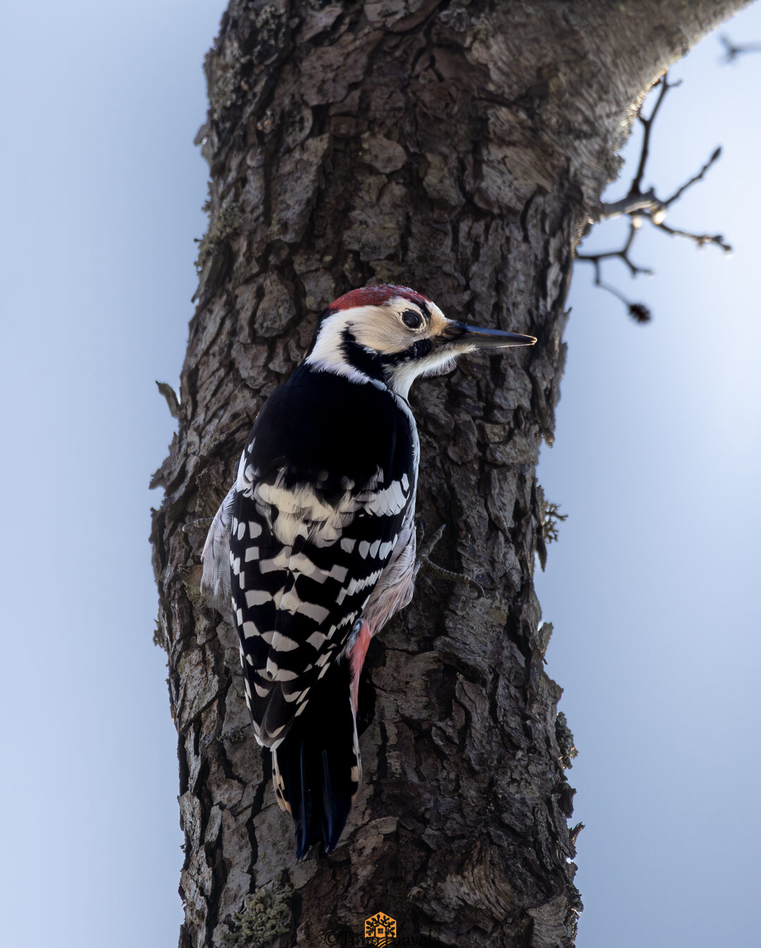 Valokuvaaja: Timo Paavola