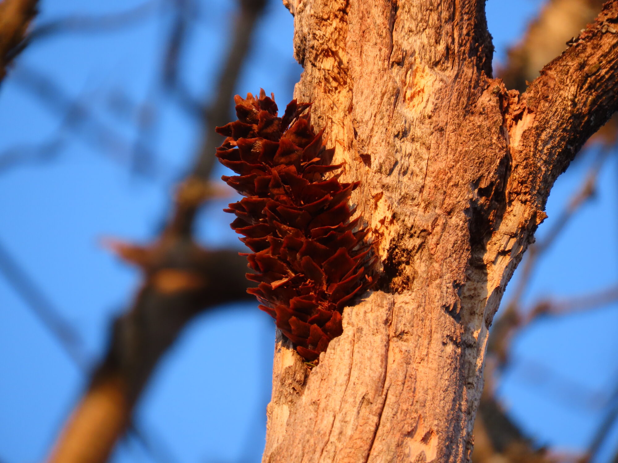 Valokuvaaja: Mirja Suoknuuti