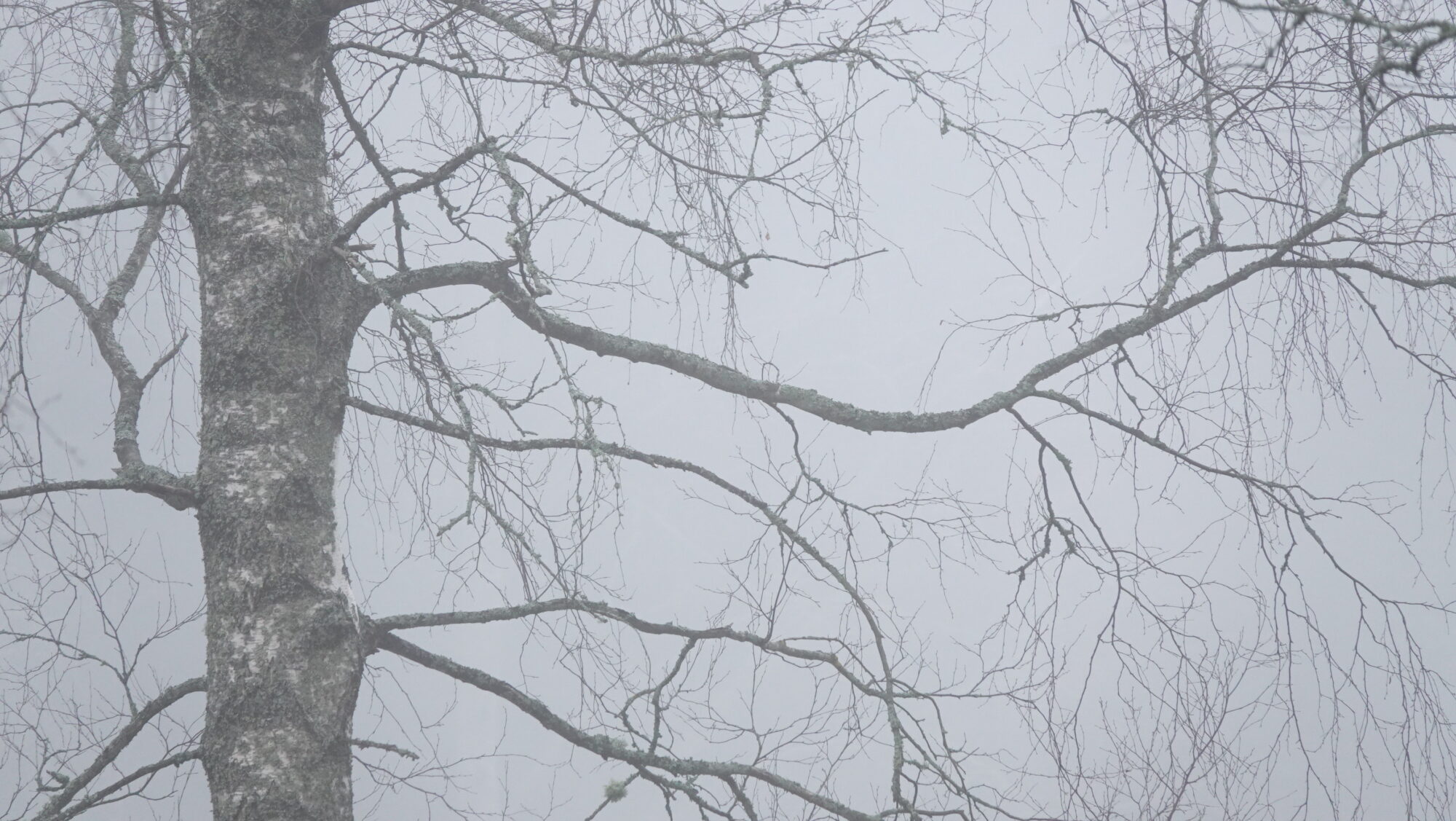 Valokuvaaja: Jenna Pitkänen