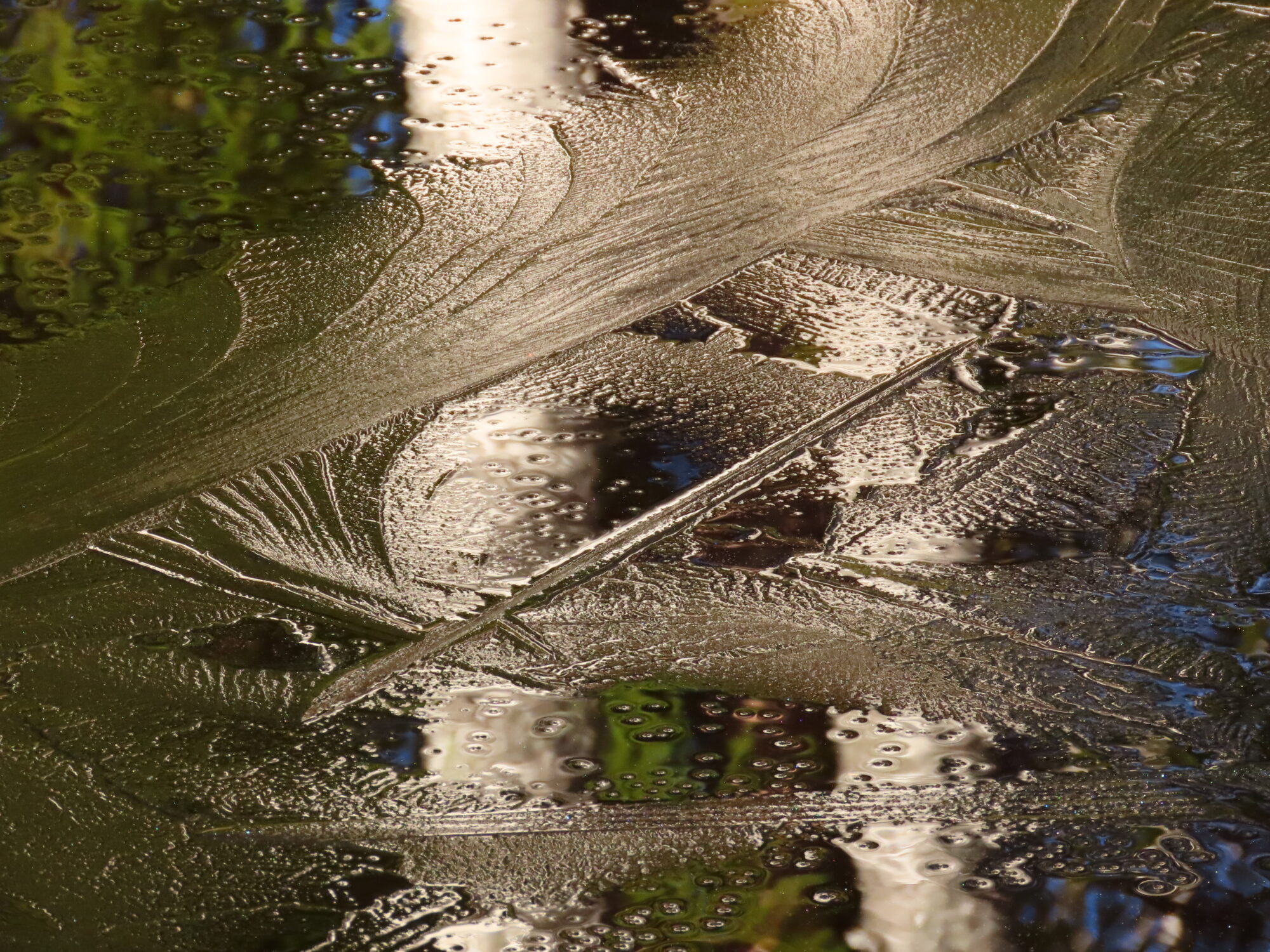 Valokuvaaja: Mirja Suoknuuti