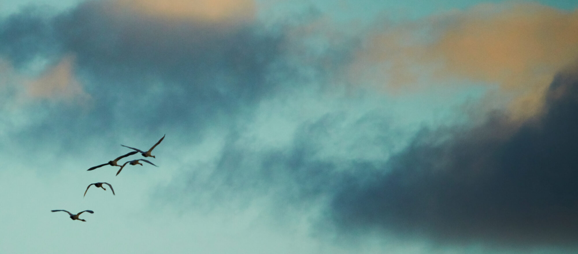 Valokuvaaja: Tarja Kouvo