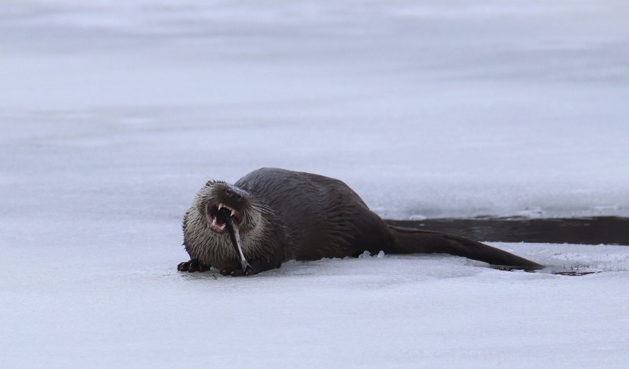 Valokuvaaja: Jaana Saarelainen