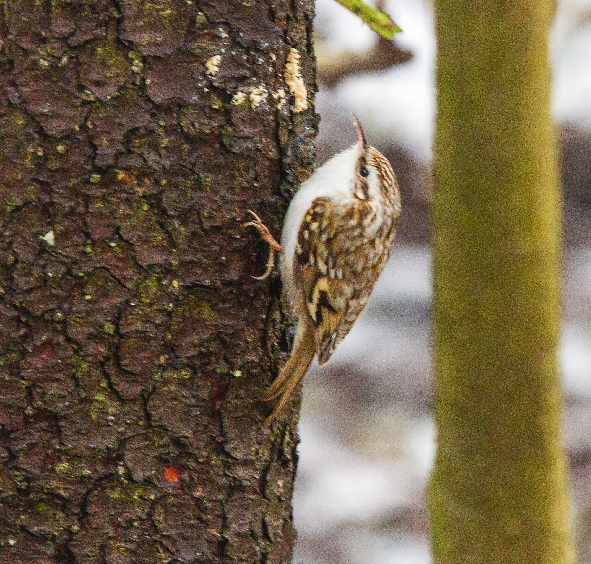Valokuvaaja: Heikki Heinonen