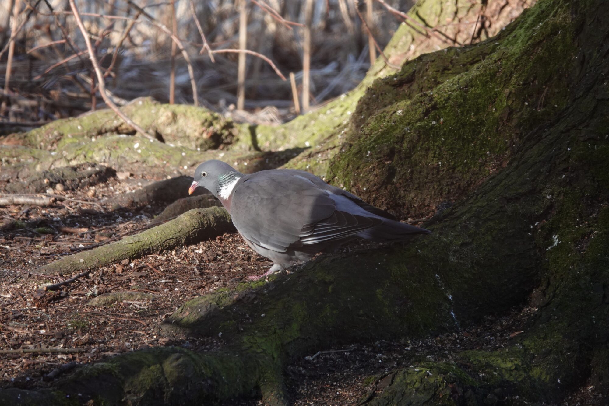 Valokuvaaja: Jenna Pitkänen