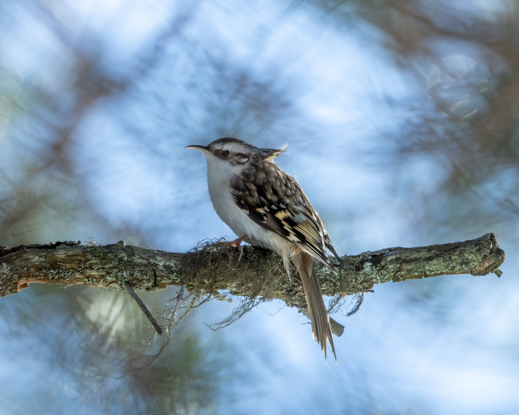 Valokuvaaja: Hannu Tikkanen