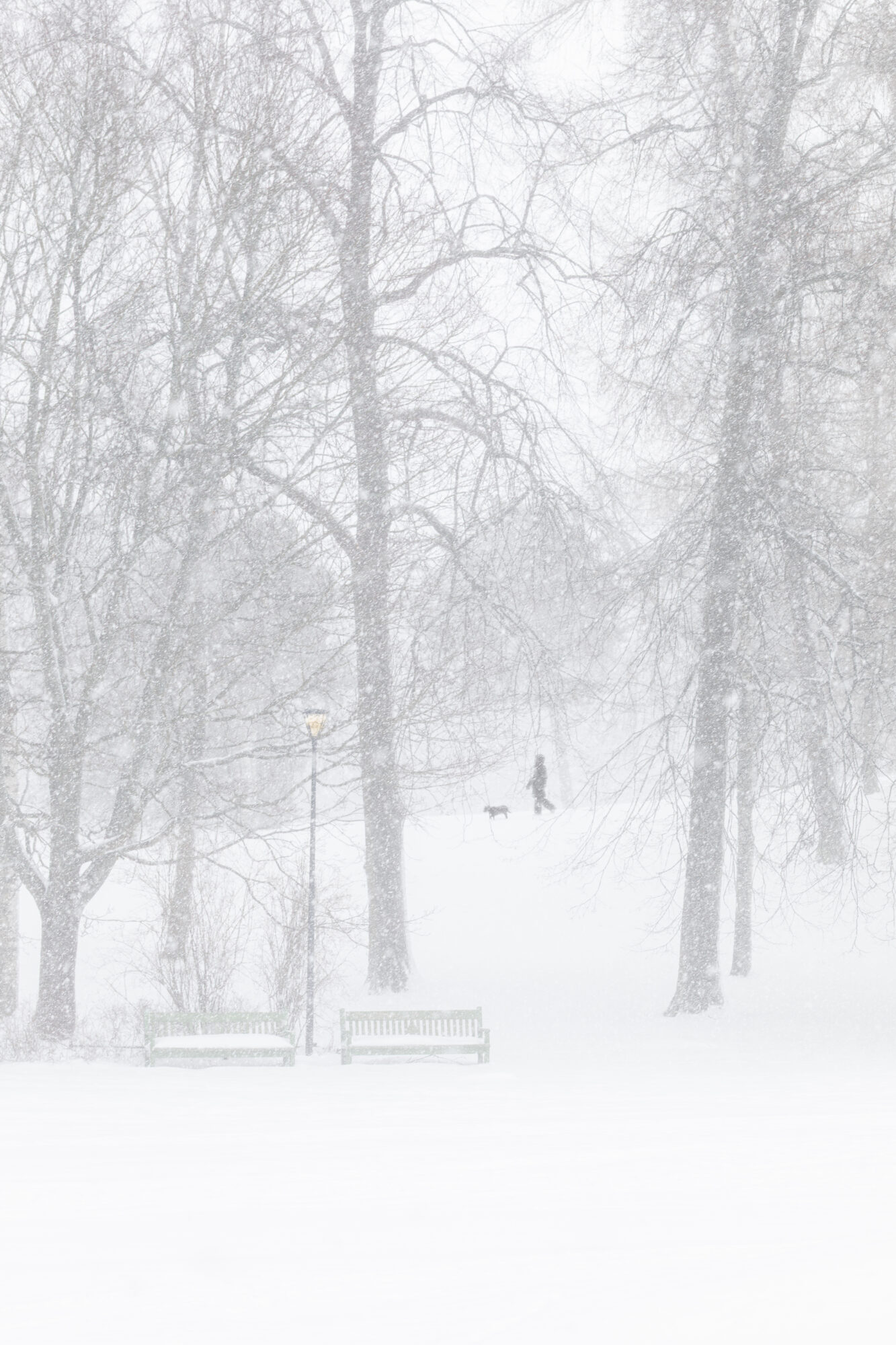 Valokuvaaja: Sofia Korkala