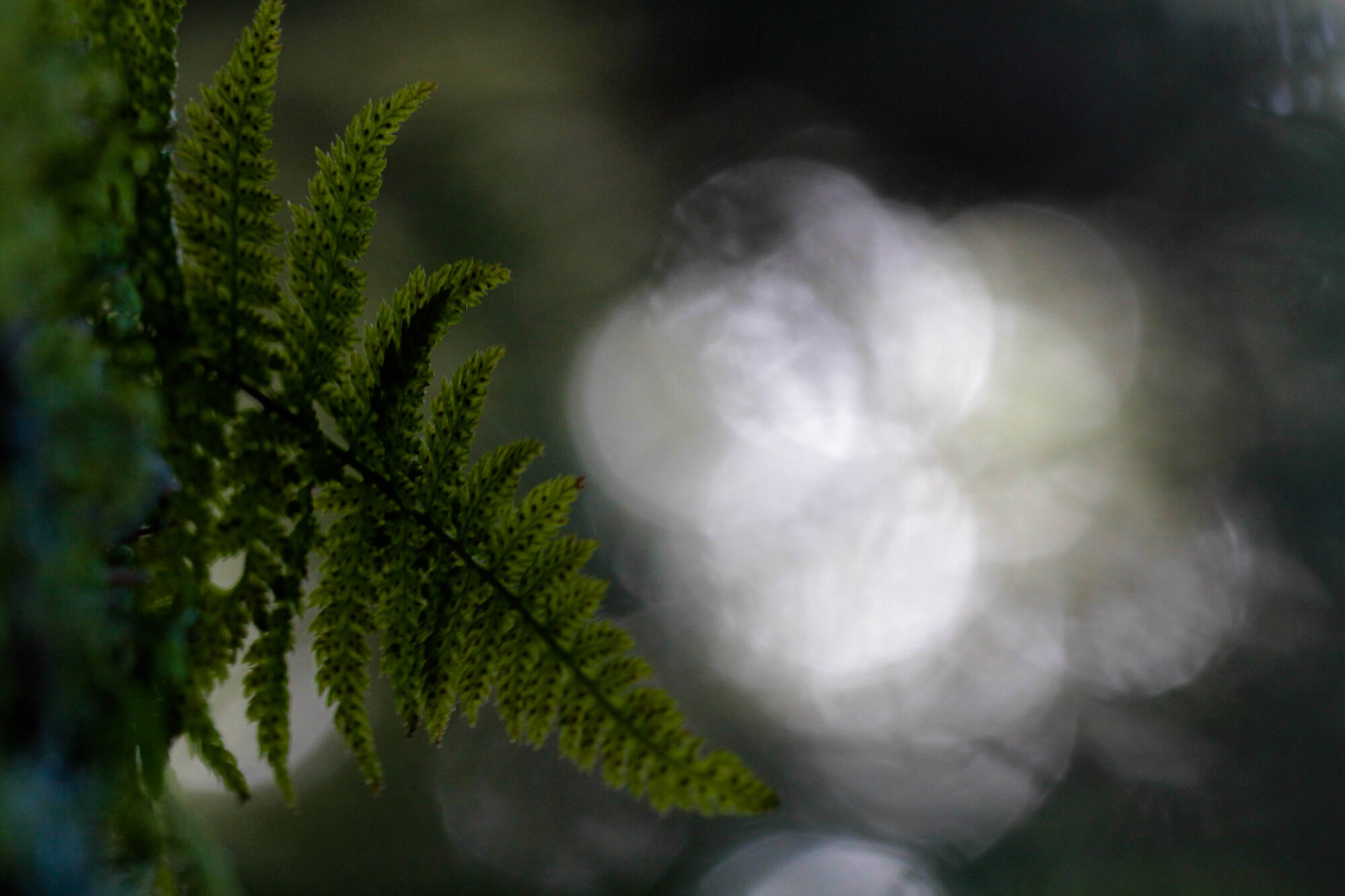 Valokuvaaja: Terhi Tertu Nieminen