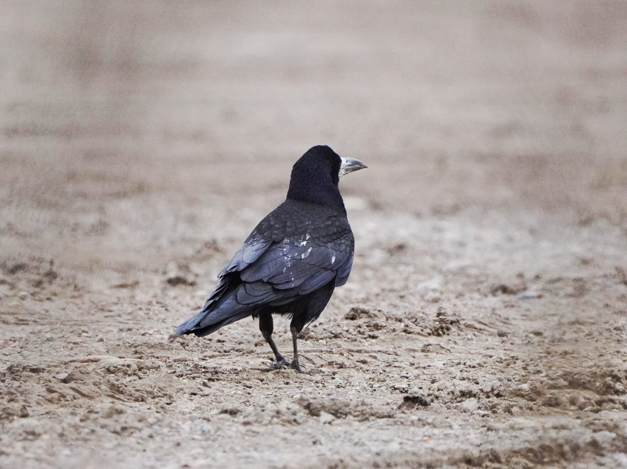 Valokuvaaja: Samu Leinonen