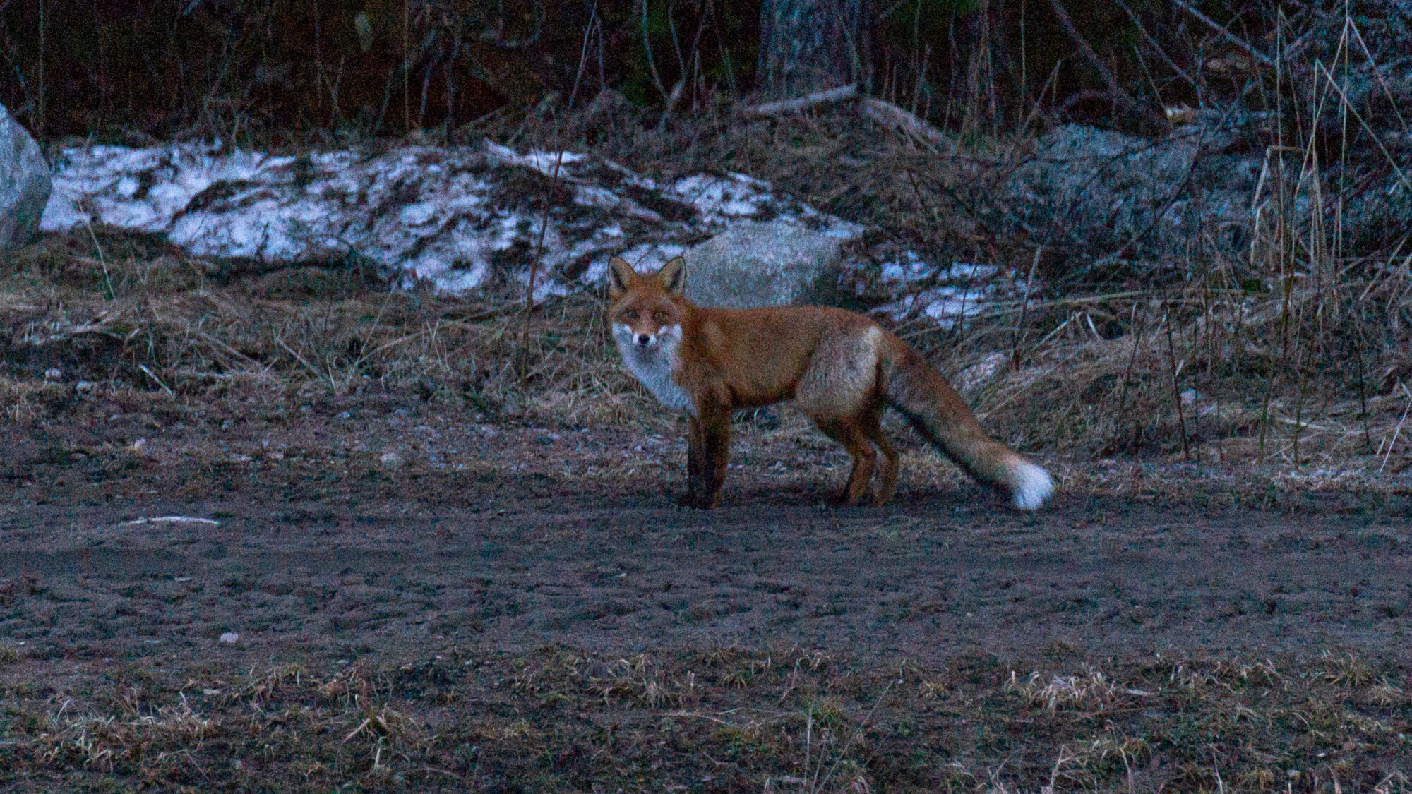 Valokuvaaja: Helena Minkkilä
