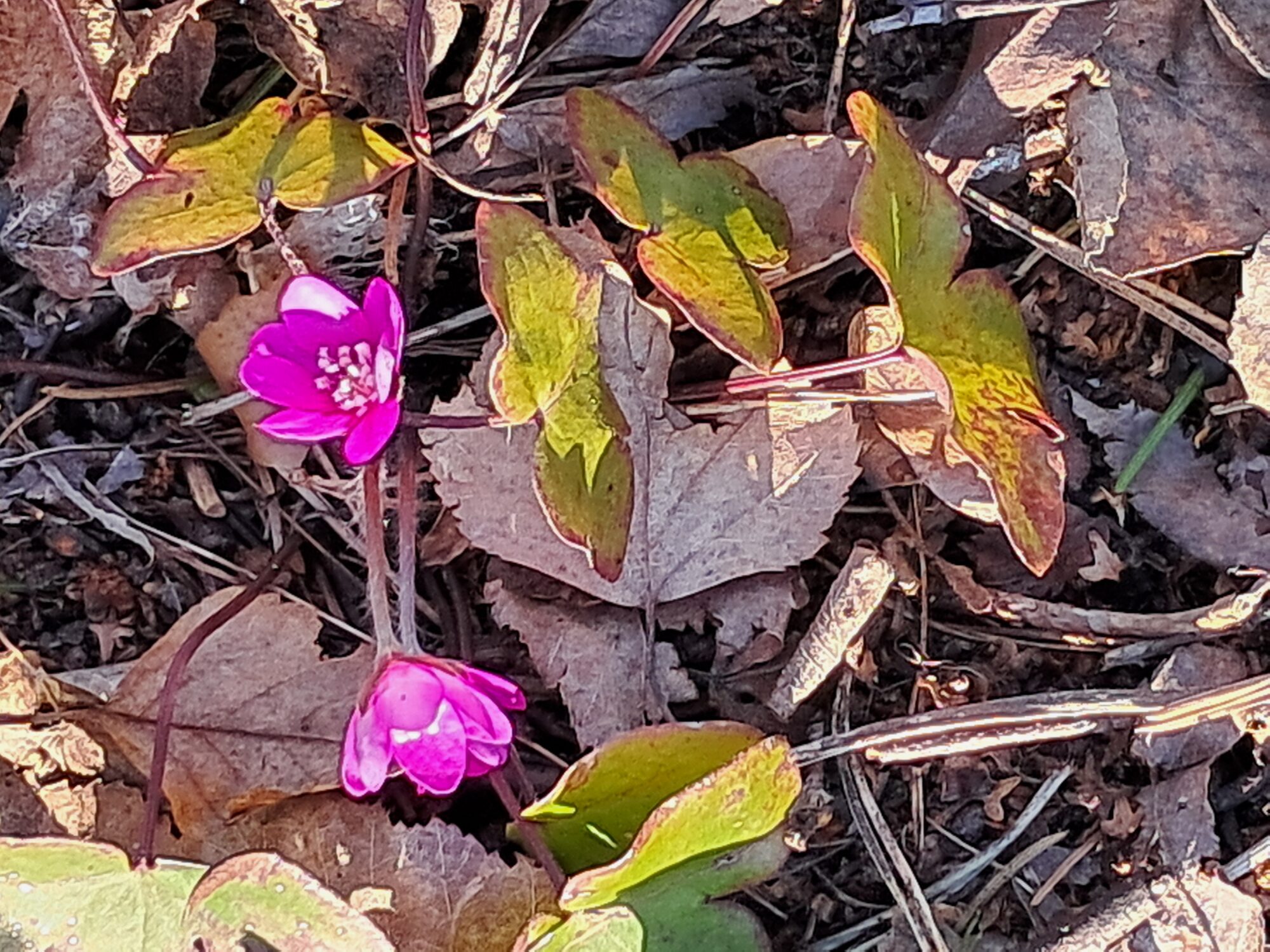Valokuvaaja: Päivikki Suokko