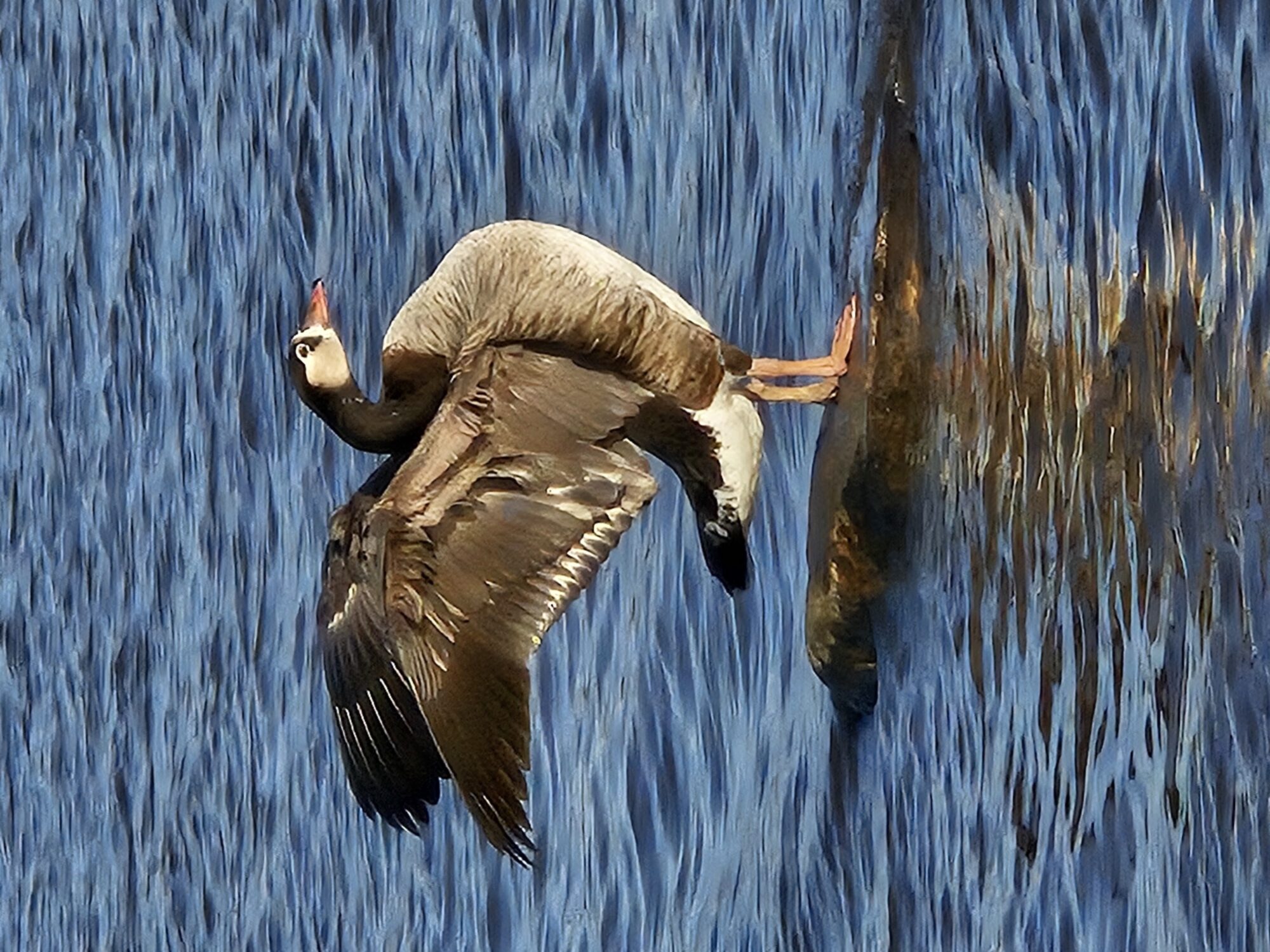 Valokuvaaja: Mika Rissanen
