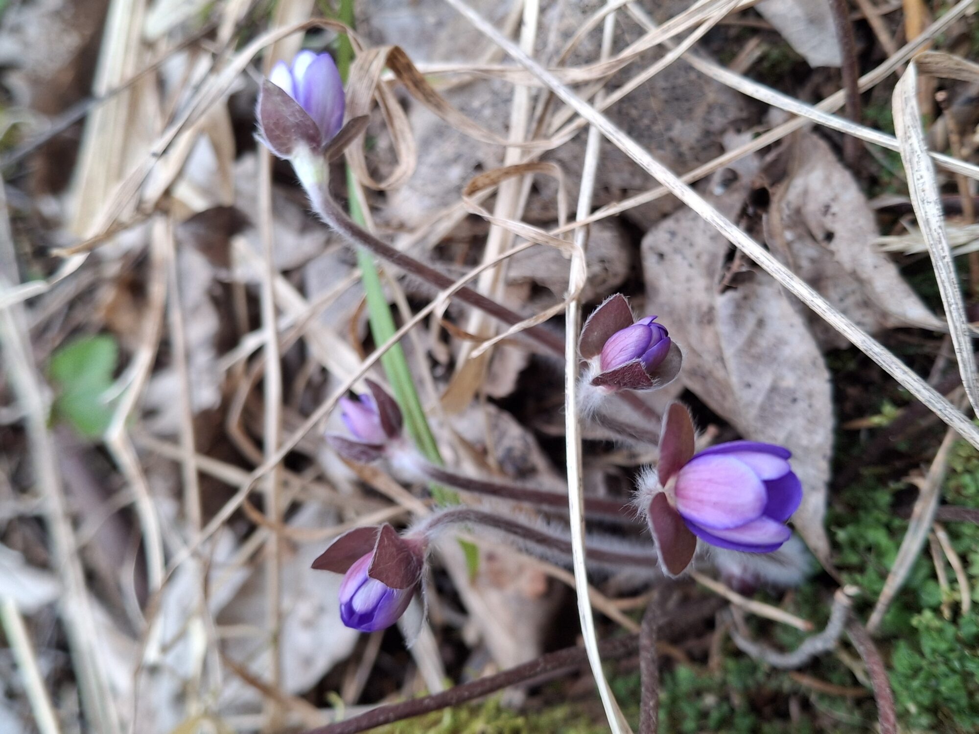 Valokuvaaja: Satu Suuntala