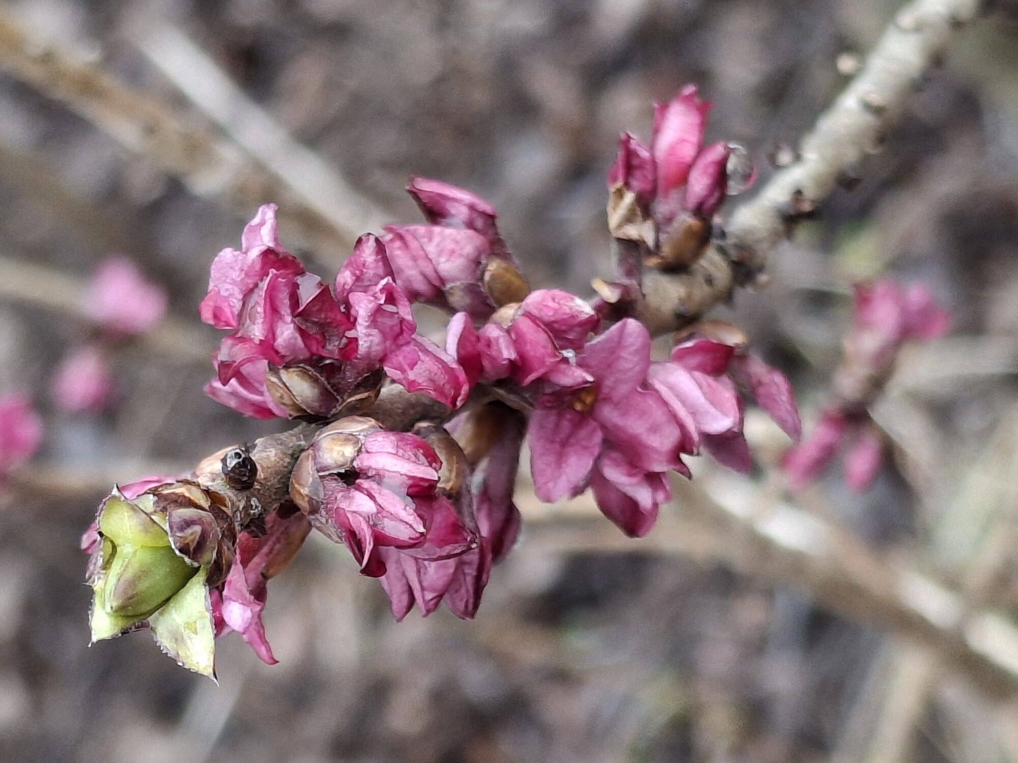 Valokuvaaja: Satu Suuntala