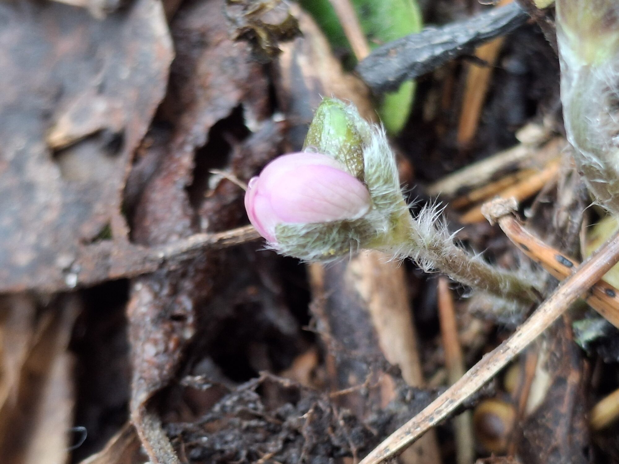 Valokuvaaja: Satu Suuntala