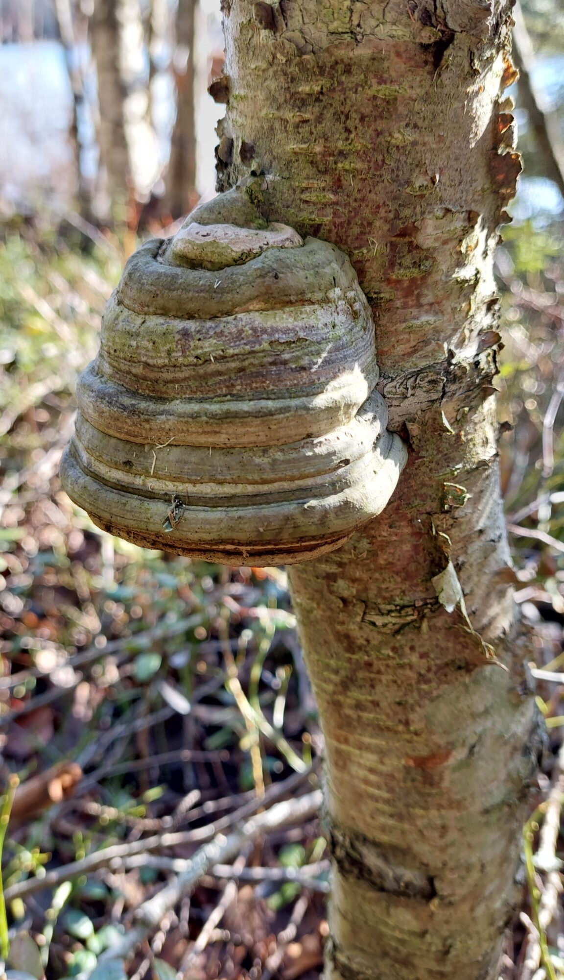 Valokuvaaja: Tarja Naukkarinen